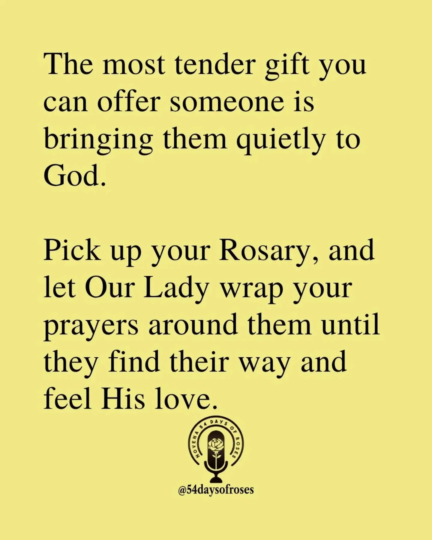 📖"Carry each other&rsquo;s burdens, and in this way you will fulfill the law of Christ." Galatians 6:2&nbsp; 

#catholicbible
#54dayrosarynovena
#catholicfaith
#54daysofroses
#biblequote