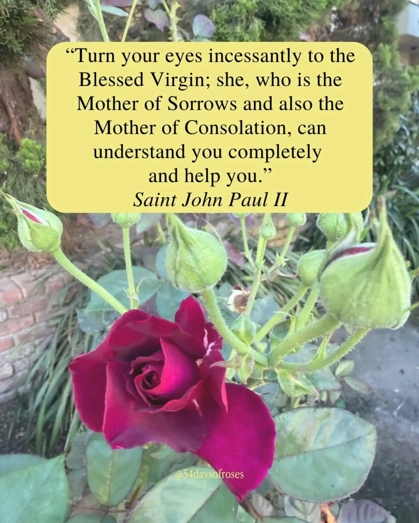 &ldquo;Turn your eyes incessantly to the Blessed Virgin; she, who is the Mother of Sorrows and also the Mother of Consolation, can understand you completely and help you.&rdquo; -Saint John Paul II

September is traditionally dedicated to Our Lady of