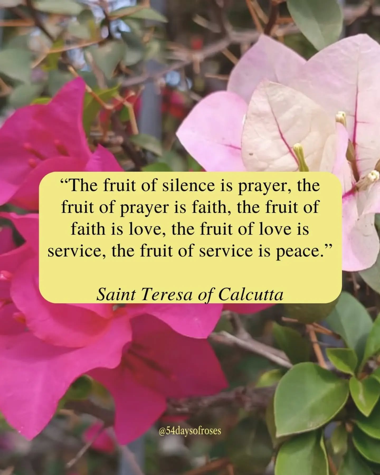 "The fruit of silence is prayer, the fruit of prayer is faith, the fruit of faith is love, the fruit of love is service, the fruit of service is peace." -Saint Teresa of Calcutta

Born Anjez&euml; Gonxhe Bojaxhiu on August 26, 1910, in Skop