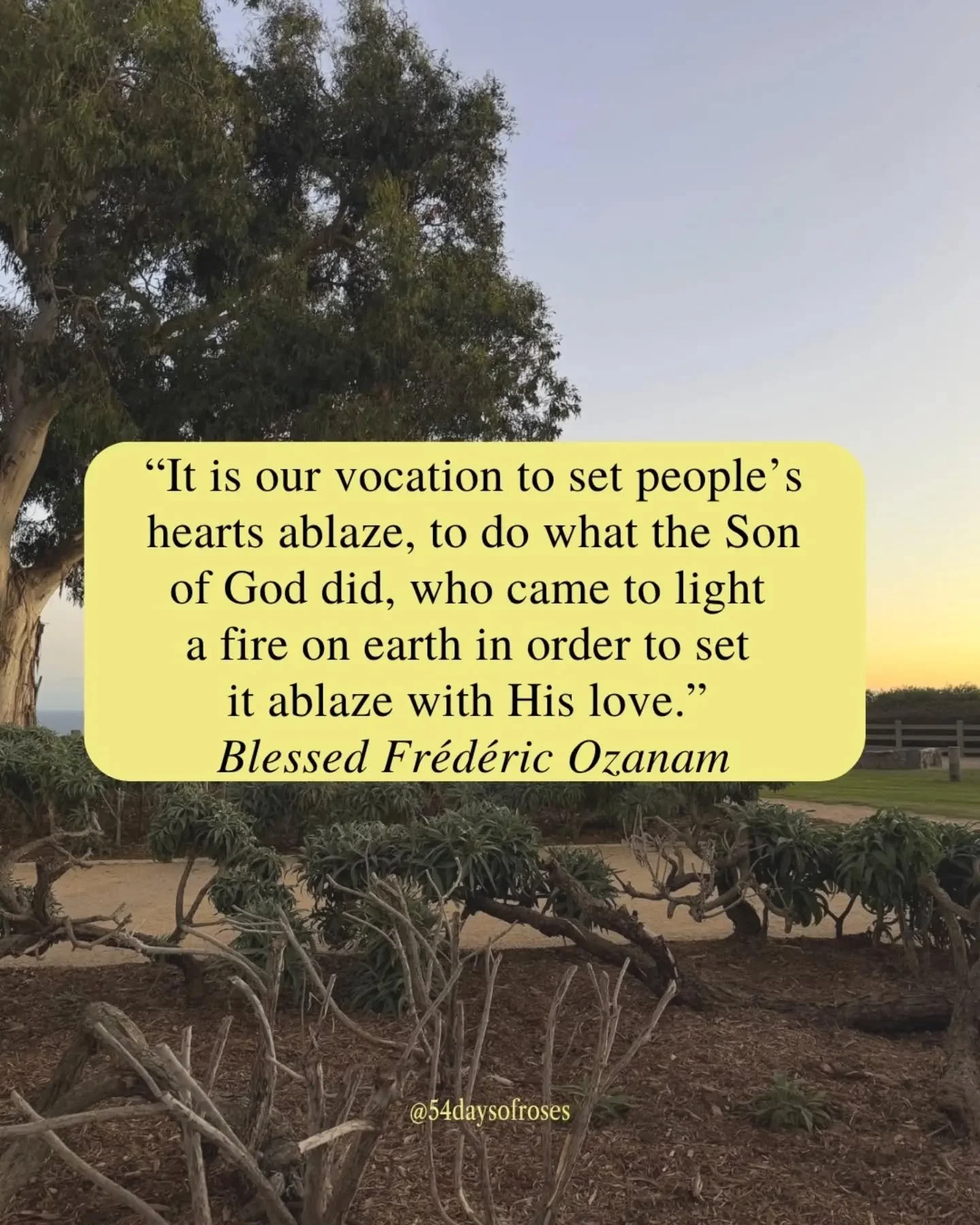 "It is our vocation to set people's hearts ablaze, to do what the Son of God did, who came to light a fire on earth in order to set it ablaze with His love." -Blessed Fr&eacute;d&eacute;ric Ozanam

He was just 20 years old when he decided f