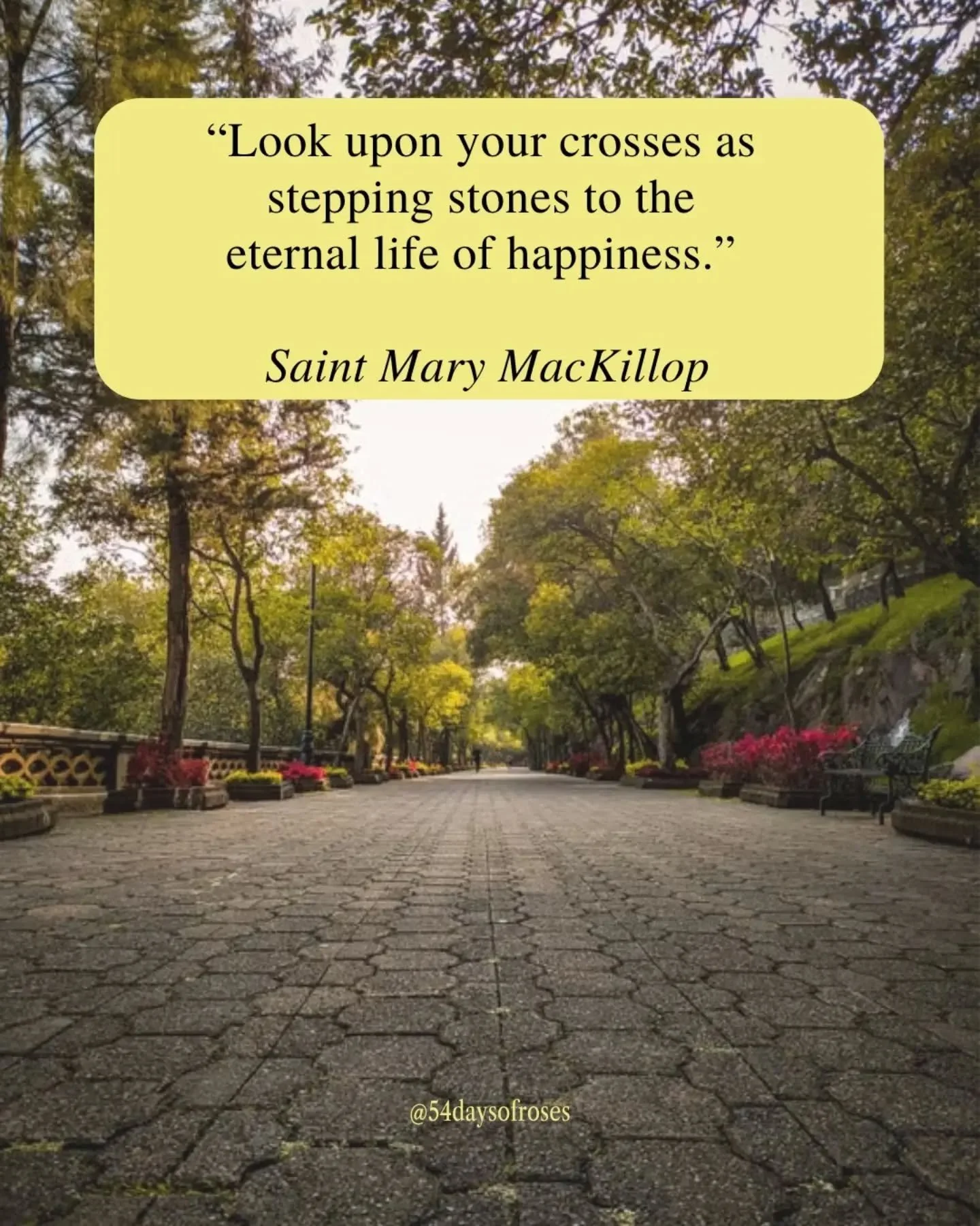 "Look upon your crosses as stepping stones to the eternal life of happiness." -St. Mary MacKillop

Today, September 14th, the Church celebrates the Feast of the Exaltation of the Holy Cross. Its history dates back to 326 AD, when Saint Hele
