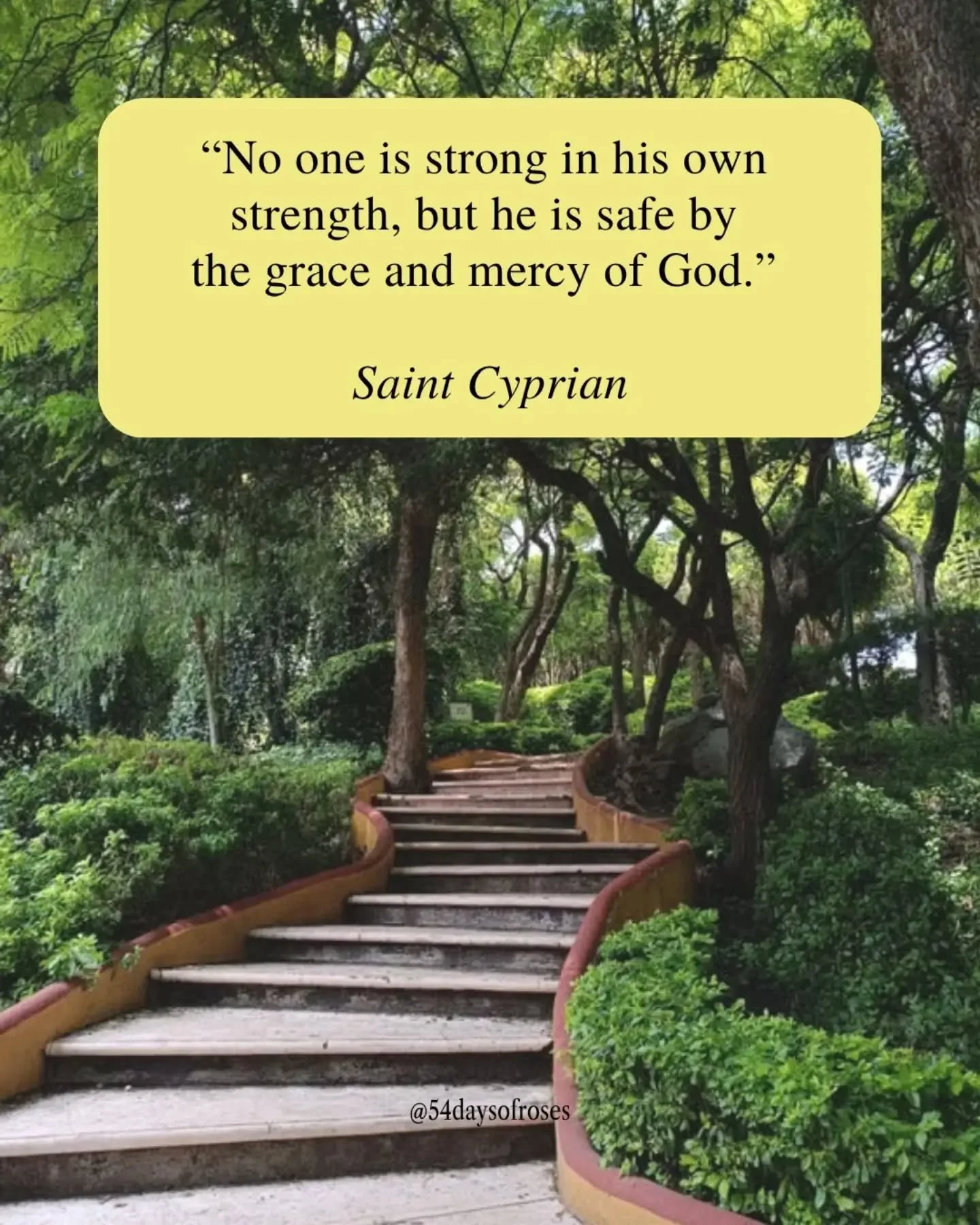 "No one is strong in his own strength, but he is safe by the grace and mercy of God." -St. Cyprian 

St. Cyprian was born around the year 200 in Carthage, in what is now Tunisia, into a wealthy pagan family. He was an educated man, a lawyer