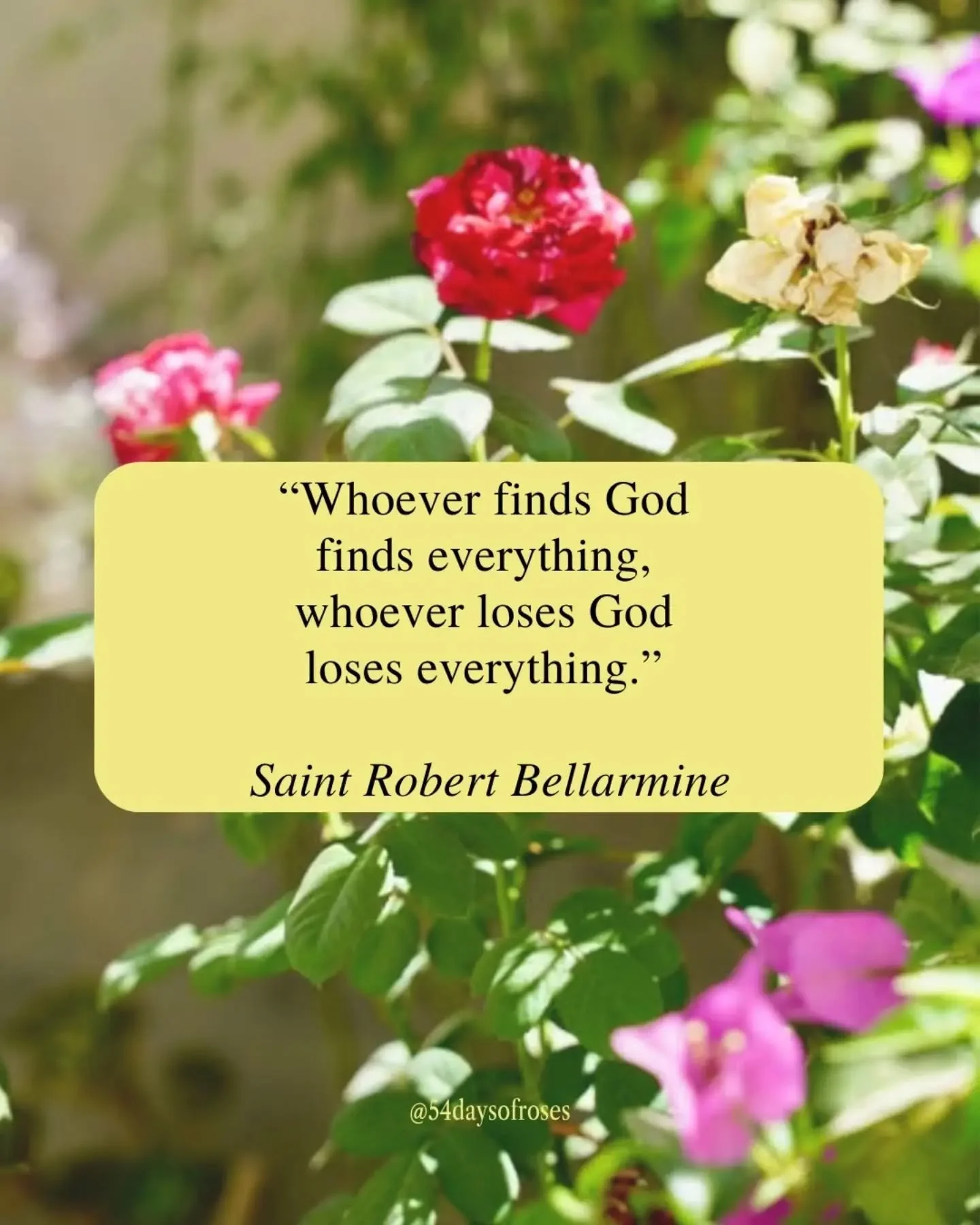 "Whoever finds God finds everything, whoever loses God loses everything." -Saint Robert Bellarmine

He was a Jesuit, a cardinal, a Doctor of the Church. and the man who staked his entire life on one breathtaking conviction: that God is not 