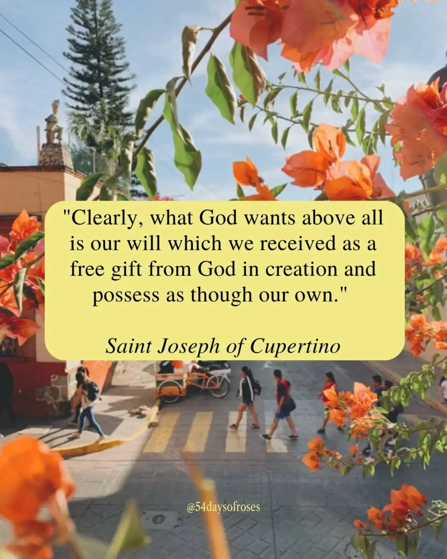 "Clearly, what God wants above all is our will which we received as a free gift from God in creation and possess as though our own." -Saint Joseph of Cupertino

Joseph was born in 1603 in a humble stable in Cupertino, Italy. His father had 