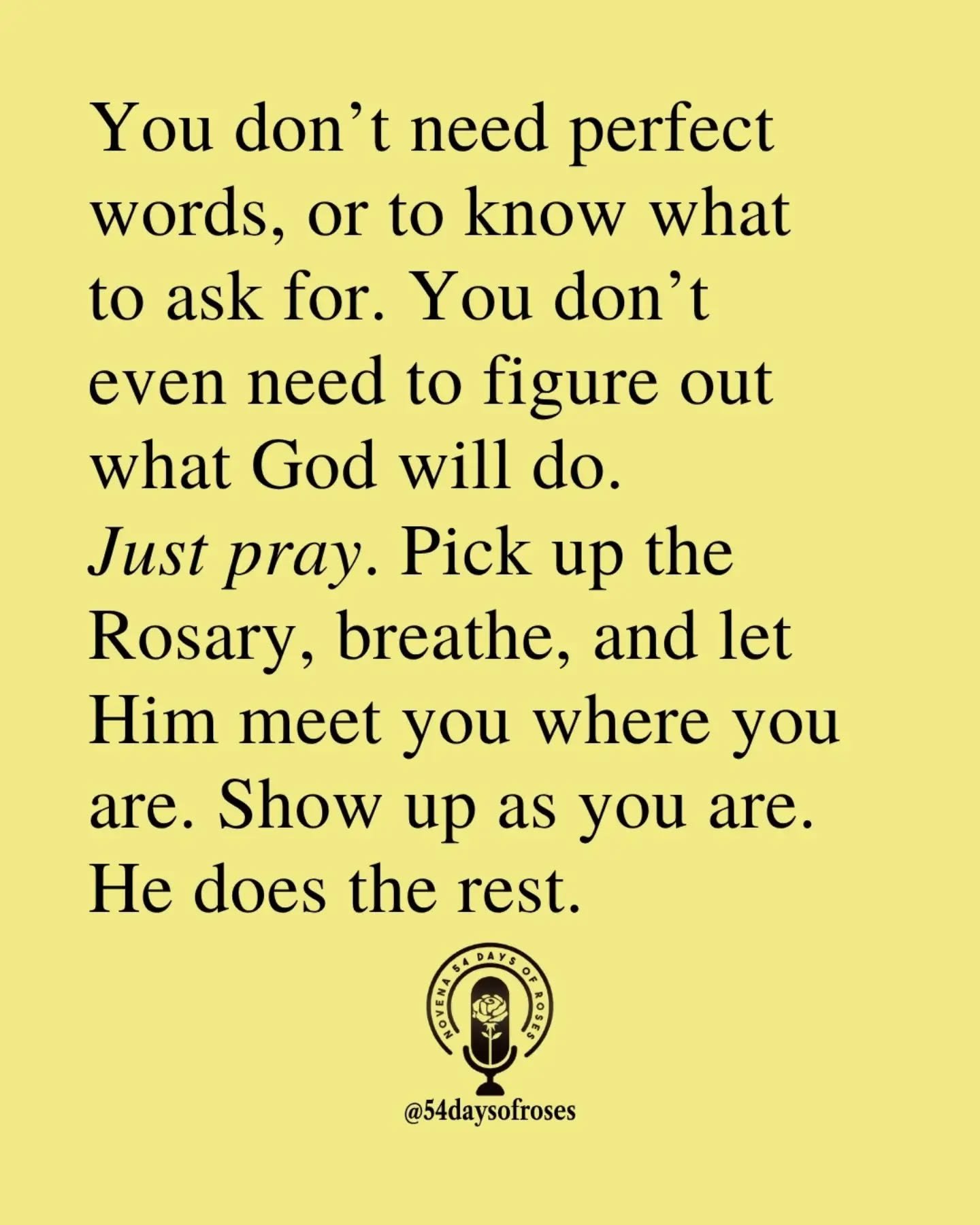 📖 &ldquo;The prayer of a righteous person is powerful and effective.&rdquo; -James 5:16 

#catholicbible
#54dayrosarynovena
#catholicfaith
#54daysofroses
#biblequotes