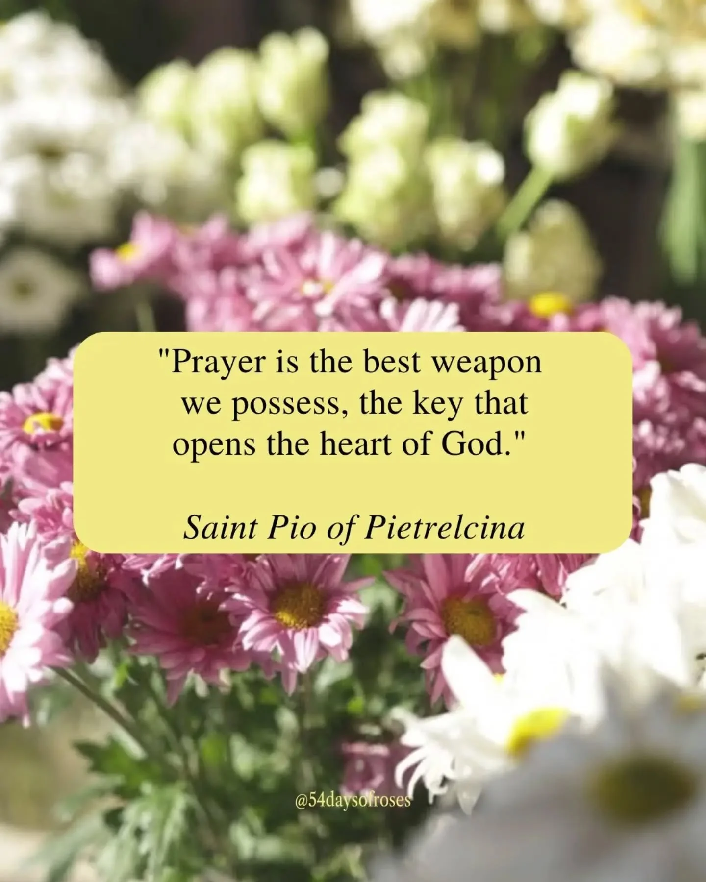 "Prayer is the best weapon we possess, the key that opens the heart of God." &ndash; Saint Pio of Pietrelcina

He was a humble friar. A confessor. A spiritual father. And yet, through prayer, he became a warrior of heaven.

Born Francesco F