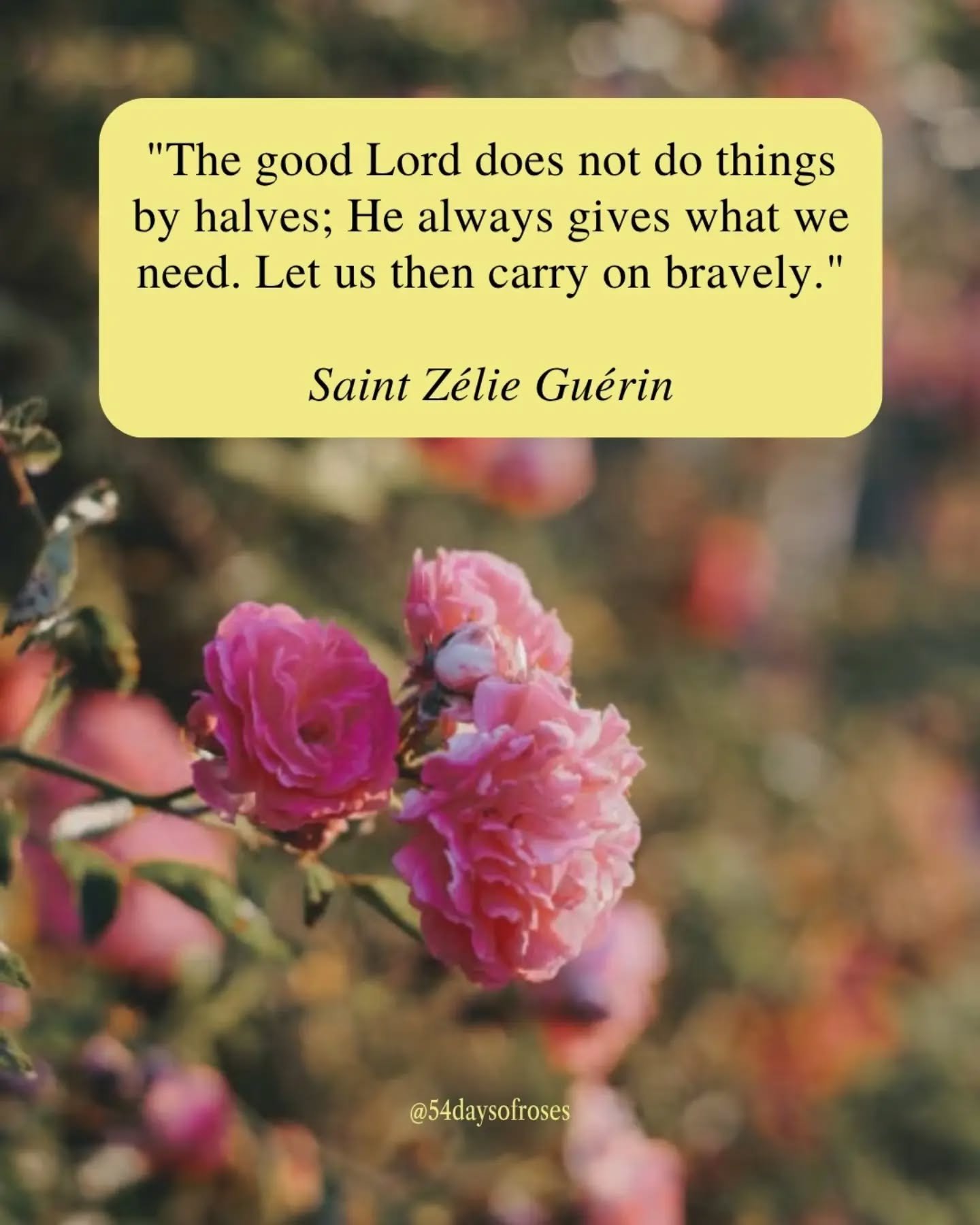 "The good Lord does not do things by halves; He always gives what we need. Let us then carry on bravely." -Saint Z&eacute;lie Gu&eacute;rin

She wanted to be a nun. She was told no. And from that redirected dream, she built a life so holy t