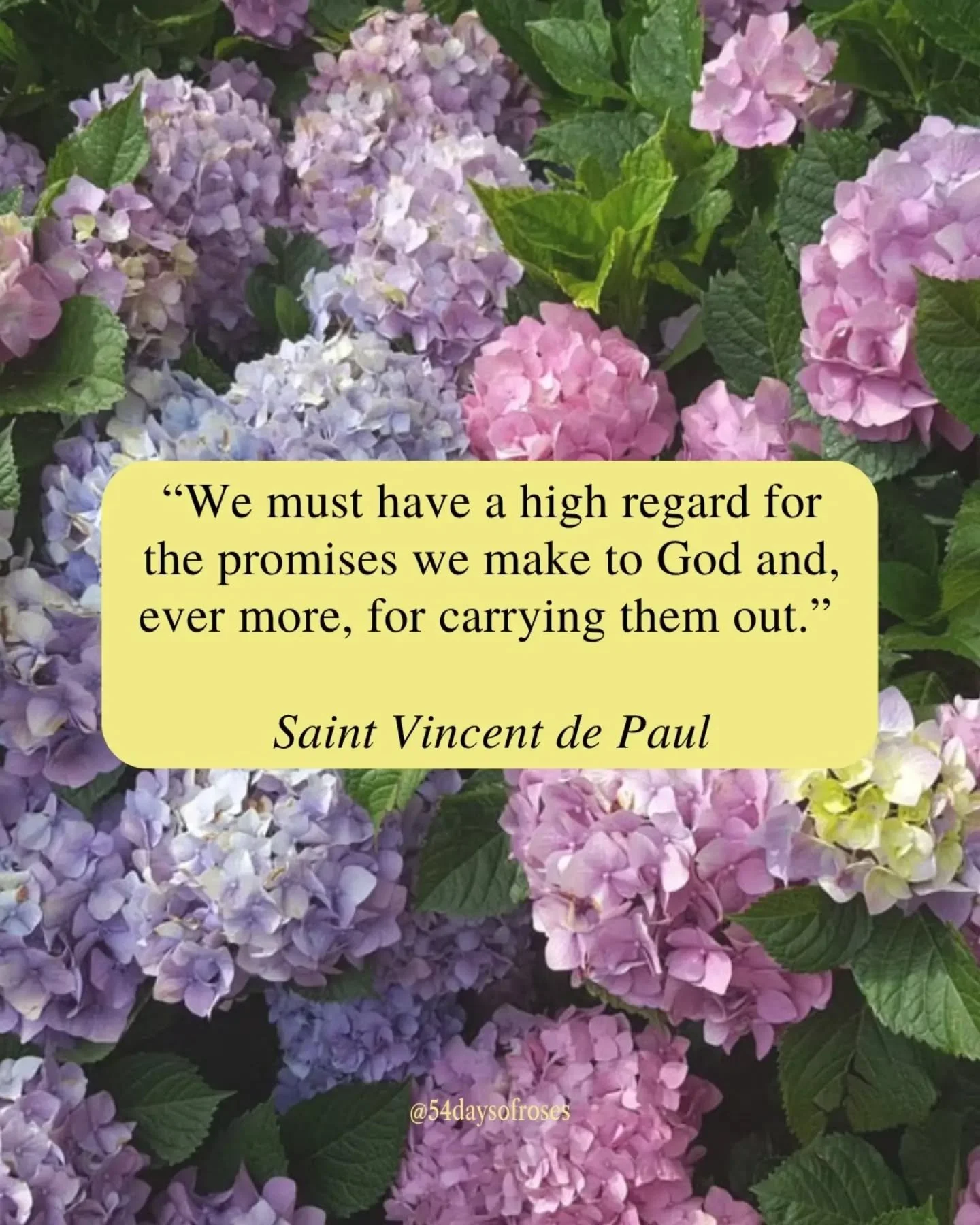 "We must have a high regard for the promises we make to God and, ever more, for carrying them out." -Saint Vincent de Paul

A boy born into peasant poverty in rural France who became one of the greatest forces of love the world has ever see