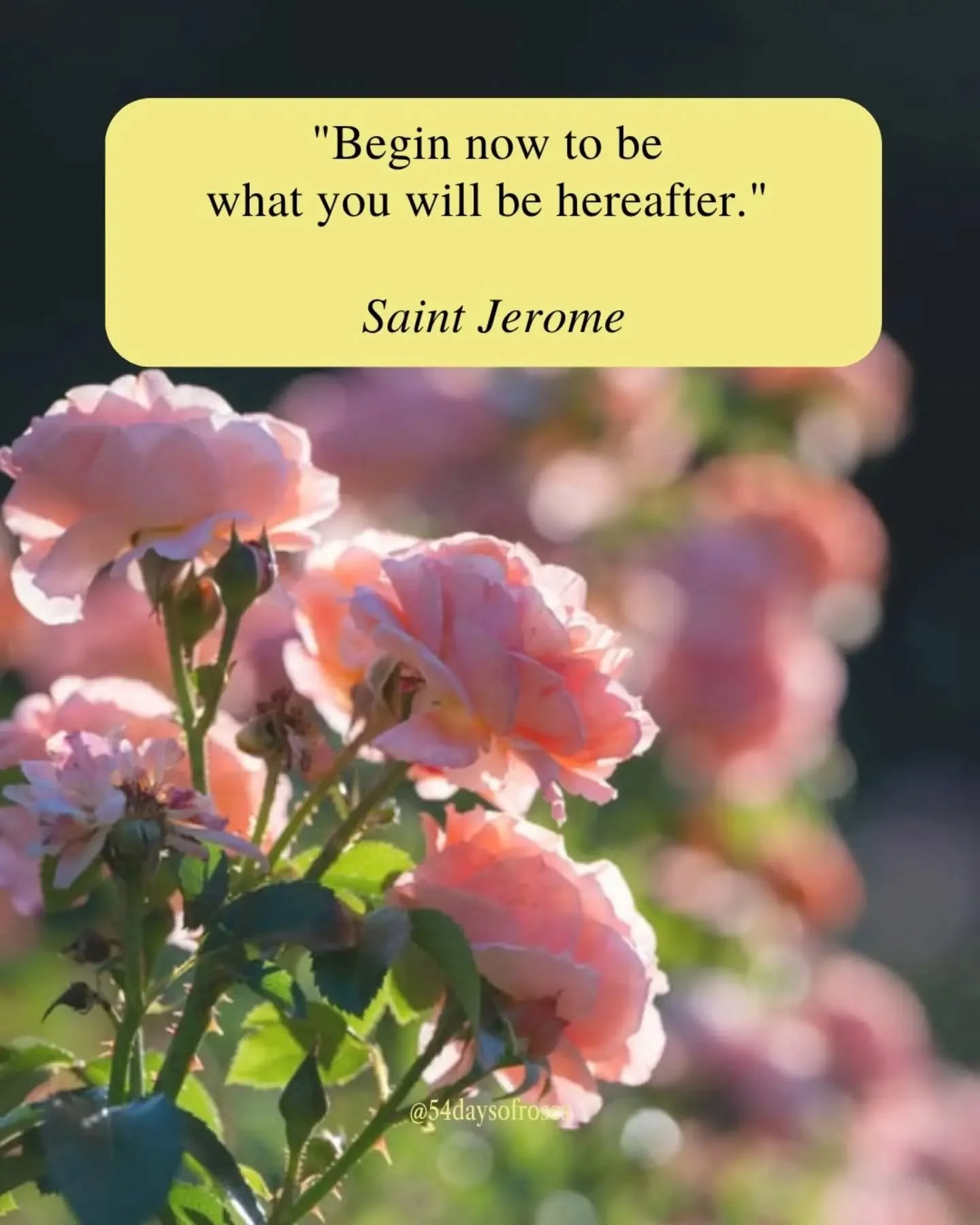 "Begin now to be what you will be hereafter." -Saint Jerome

Born around 342 in Stridon, on the edge of what is now Croatia and Slovenia, Jerome was a restless scholar who chased knowledge across the Roman world. He studied in Rome, wandere