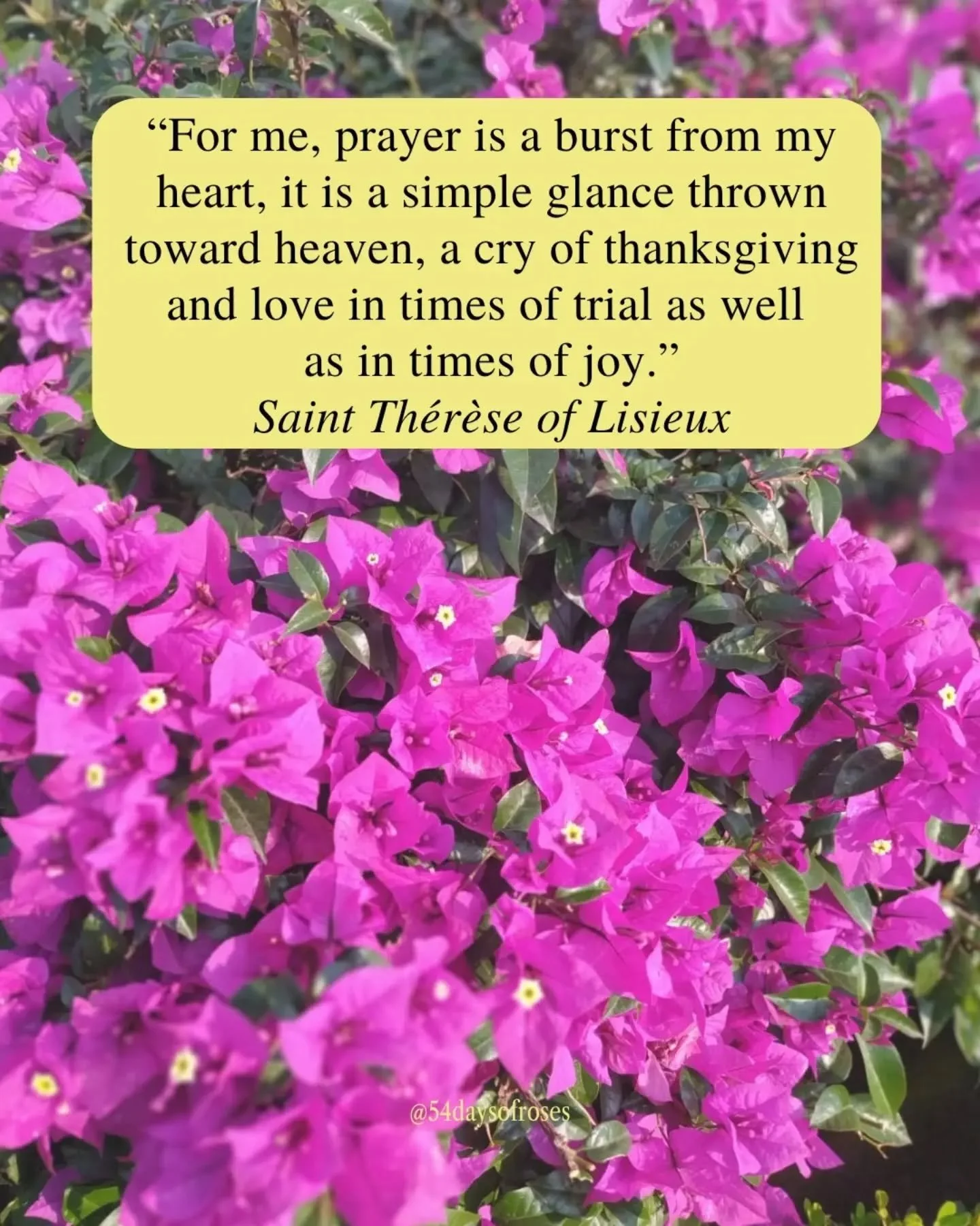 &ldquo;For me, prayer is a burst from my heart, it is a simple glance thrown toward heaven, a cry of thanksgiving and love in times of trial as well as in times of joy.&rdquo; -Saint Th&eacute;r&egrave;se of Lisieux

Today we celebrate Saint Th&eacut