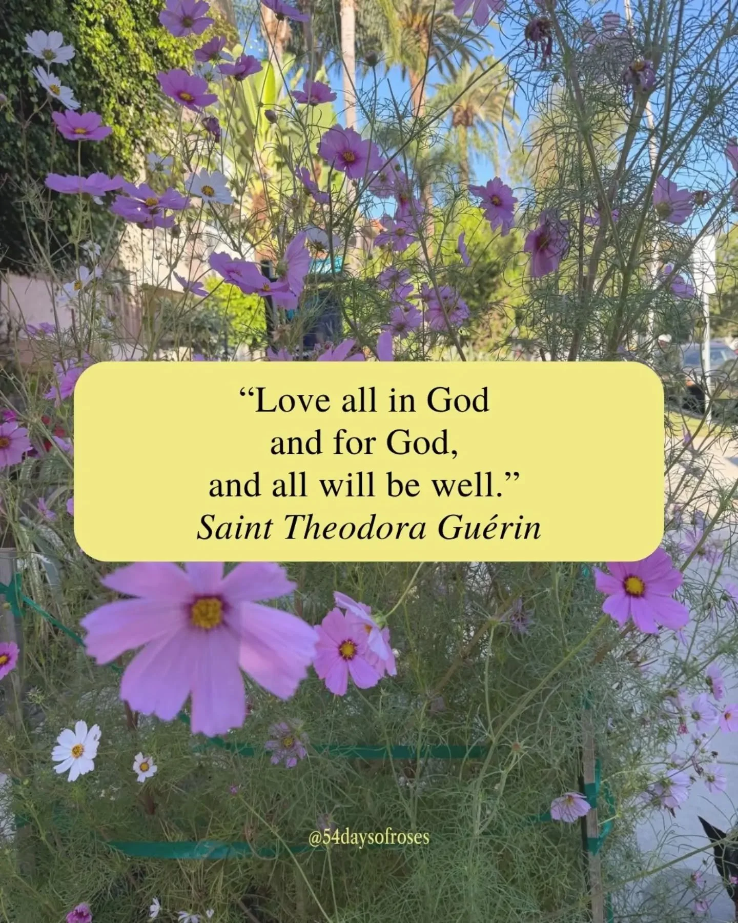 "Love all in God and for God, and all will be well." -Saint Theodora Gu&eacute;rin

She crossed an ocean with almost nothing, and built something that would last forever. Anne-Th&eacute;r&egrave;se Gu&eacute;rin was born in Brittany, France