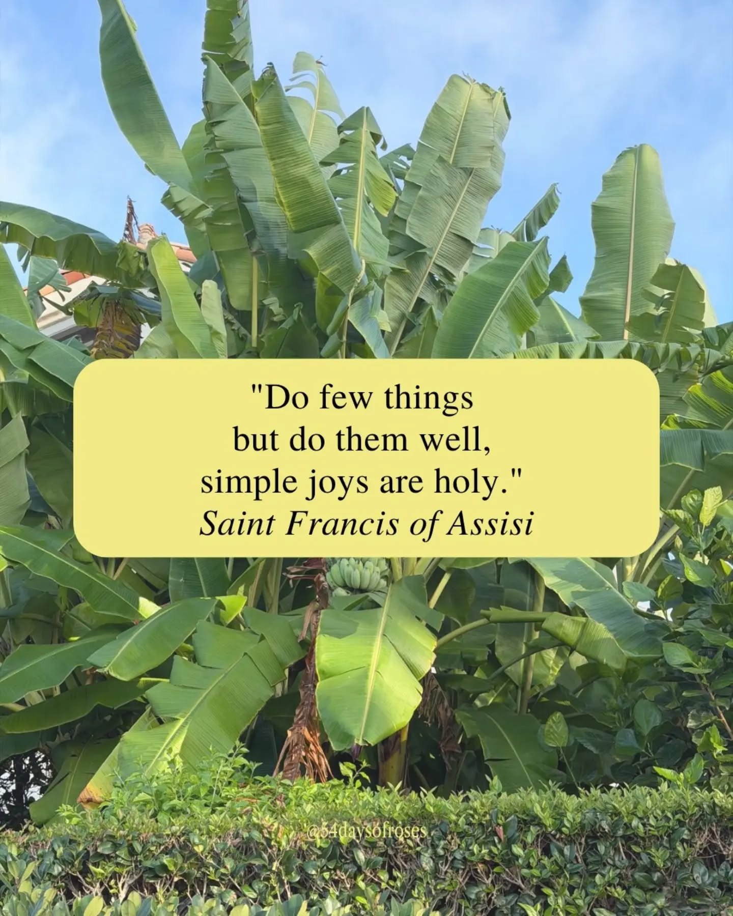 "Do few things but do them well, simple joys are holy." -Saint Francis of Assisi

He walked away from everything the world said he needed, and found God in the nothing. Born in Assisi, Italy, around 1181, Francis grew up as the privileged s