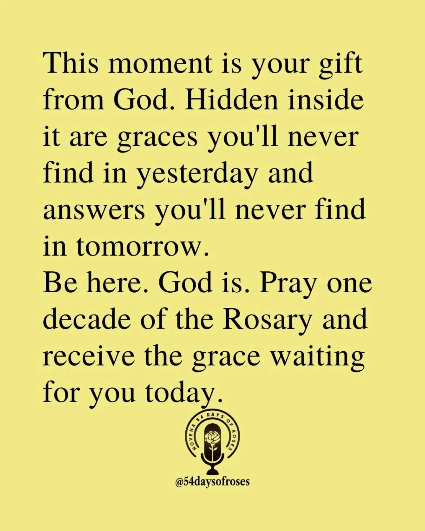 📖 "This is the day the Lord has made; let us rejoice and be glad in it." -Psalm 118:24

#catholicbible
#54dayrosarynovena
#catholicfaith
#54daysofroses
#biblequotes