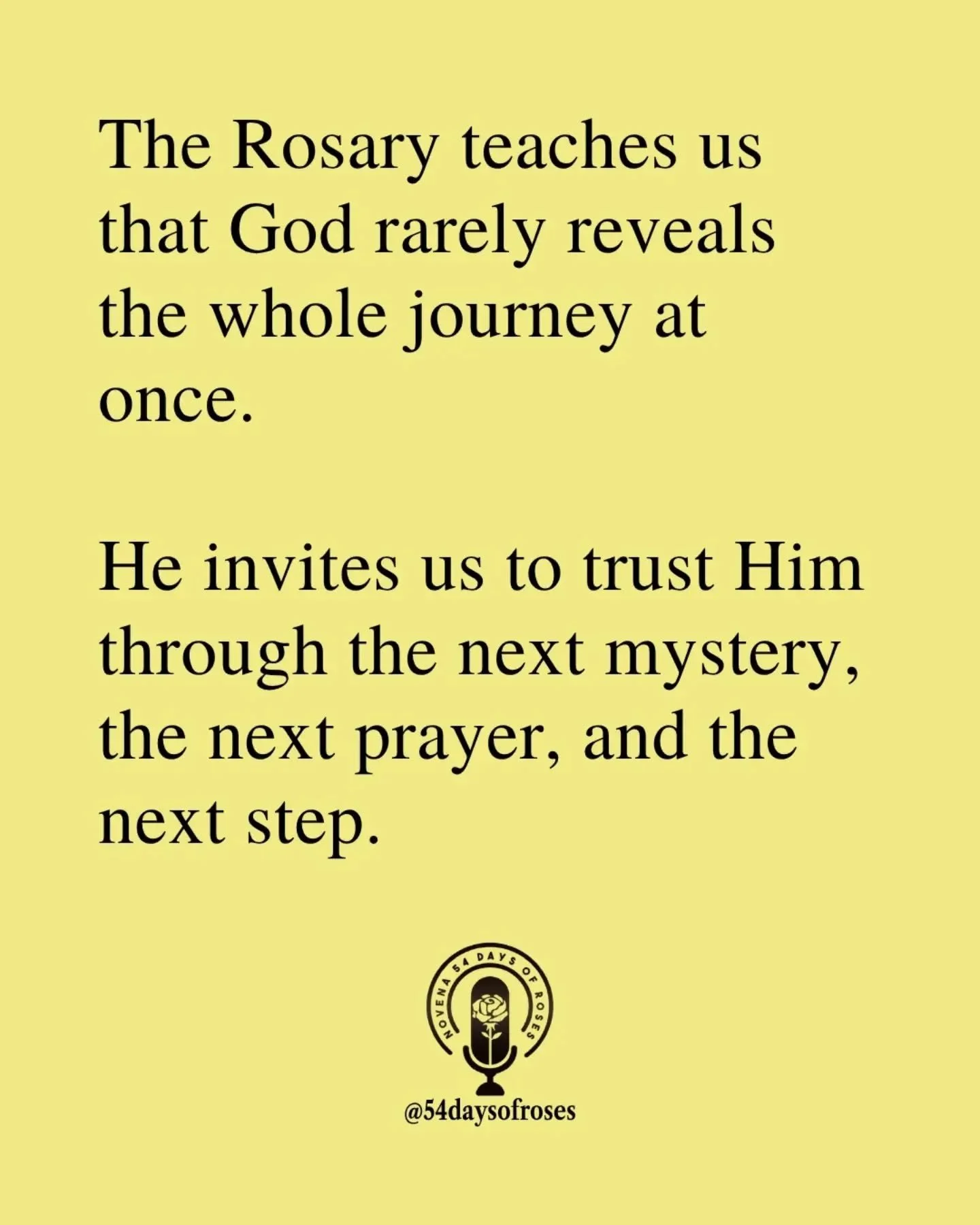 📖 "Your word is a lamp to my feet and a light to my path." -Psalm 119:105

#catholicbible
#54dayrosarynovena
#catholicfaith
#54daysofroses
#biblequote