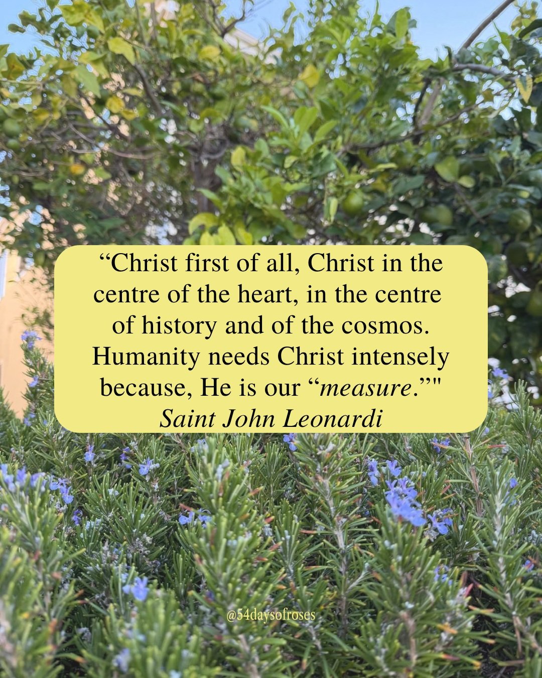 "Christ first of all, Christ in the centre of the heart, in the centre of history and of the cosmos. Humanity needs Christ intensely because, He is our 'measure.'" -Saint John Leonardi

He left a pharmacy to go all in for Christ. And that c