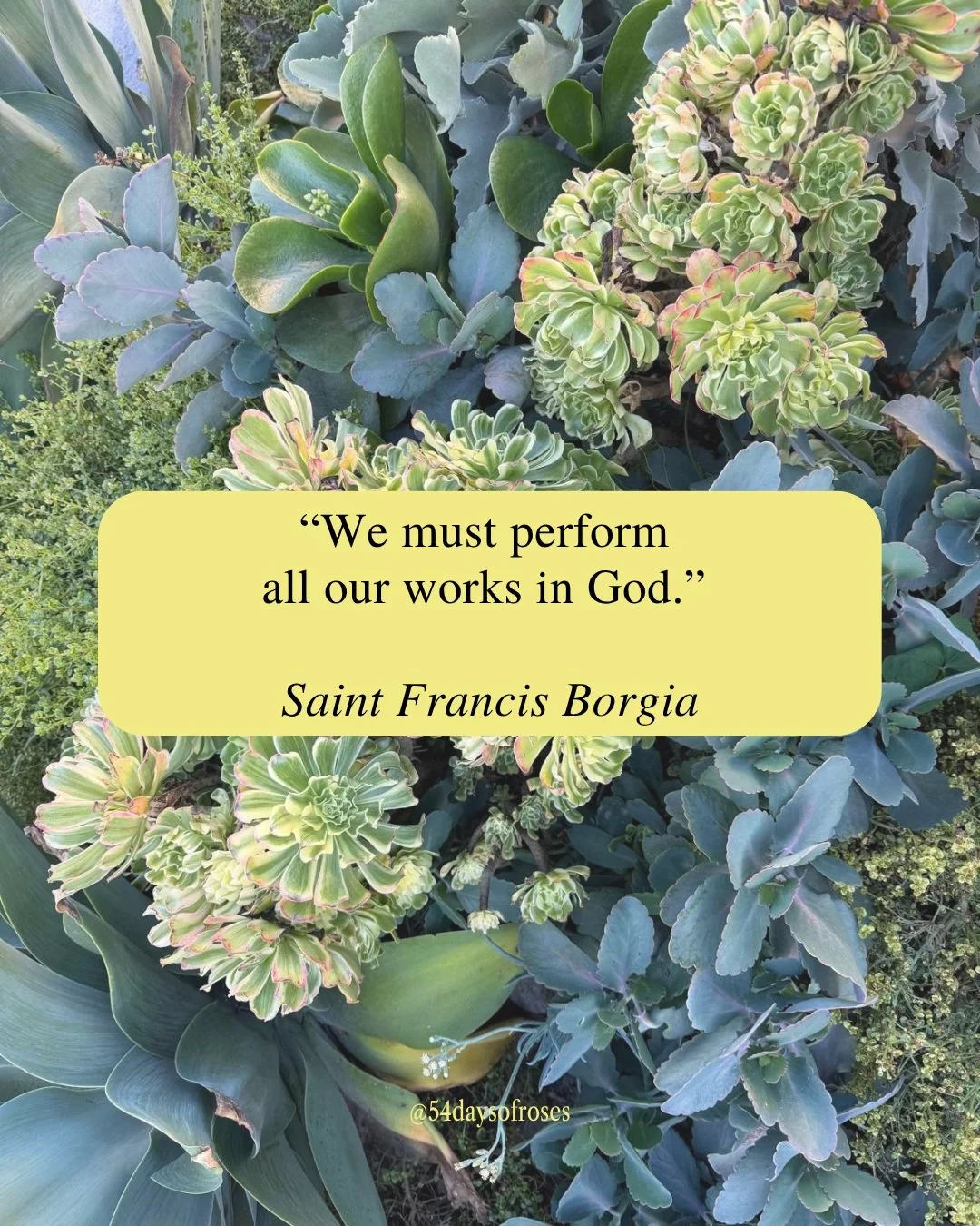 "We must perform all our works in God." -Saint Francis Borgia

A Spanish duke who walked away from everything the world said he needed. And he never looked back.

Francis Borgia was born in 1510 into one of the most powerful families in Spa