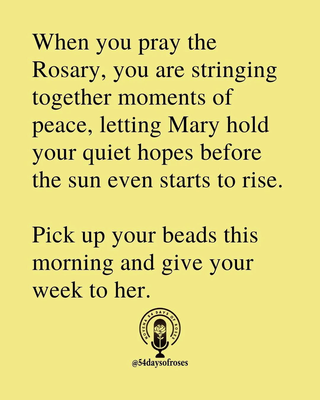📖 "But Mary treasured up all these things, pondering them in her heart." Luke 2:19

#catholic #praytherosary #youngcatholic #catholicpodcasts #54daysofroses