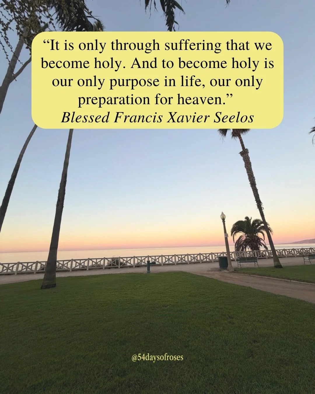 &ldquo;It is only through suffering that we become holy. And to become holy is our only purpose in life, our only preparation for heaven.&rdquo; -Blessed Francis Xavier Seelos

We spend so much of our lives trying to avoid suffering, yet God often us