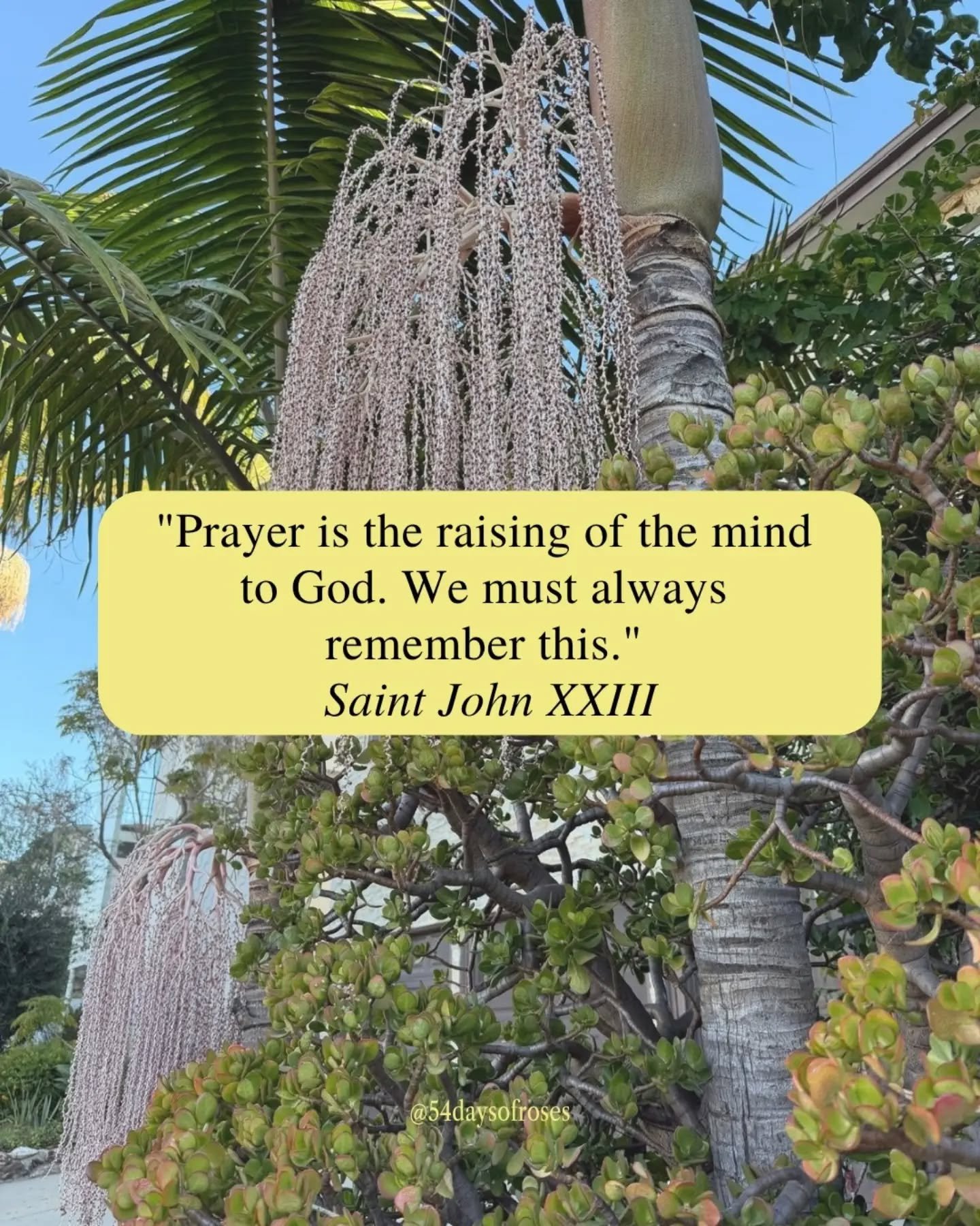 "Prayer is the raising of the mind to God. We must always remember this. The actual words matter less." -Saint John XXIII

He was born a peasant farmer's son and died the most beloved pope of the modern era. Angelo Giuseppe Roncalli came in