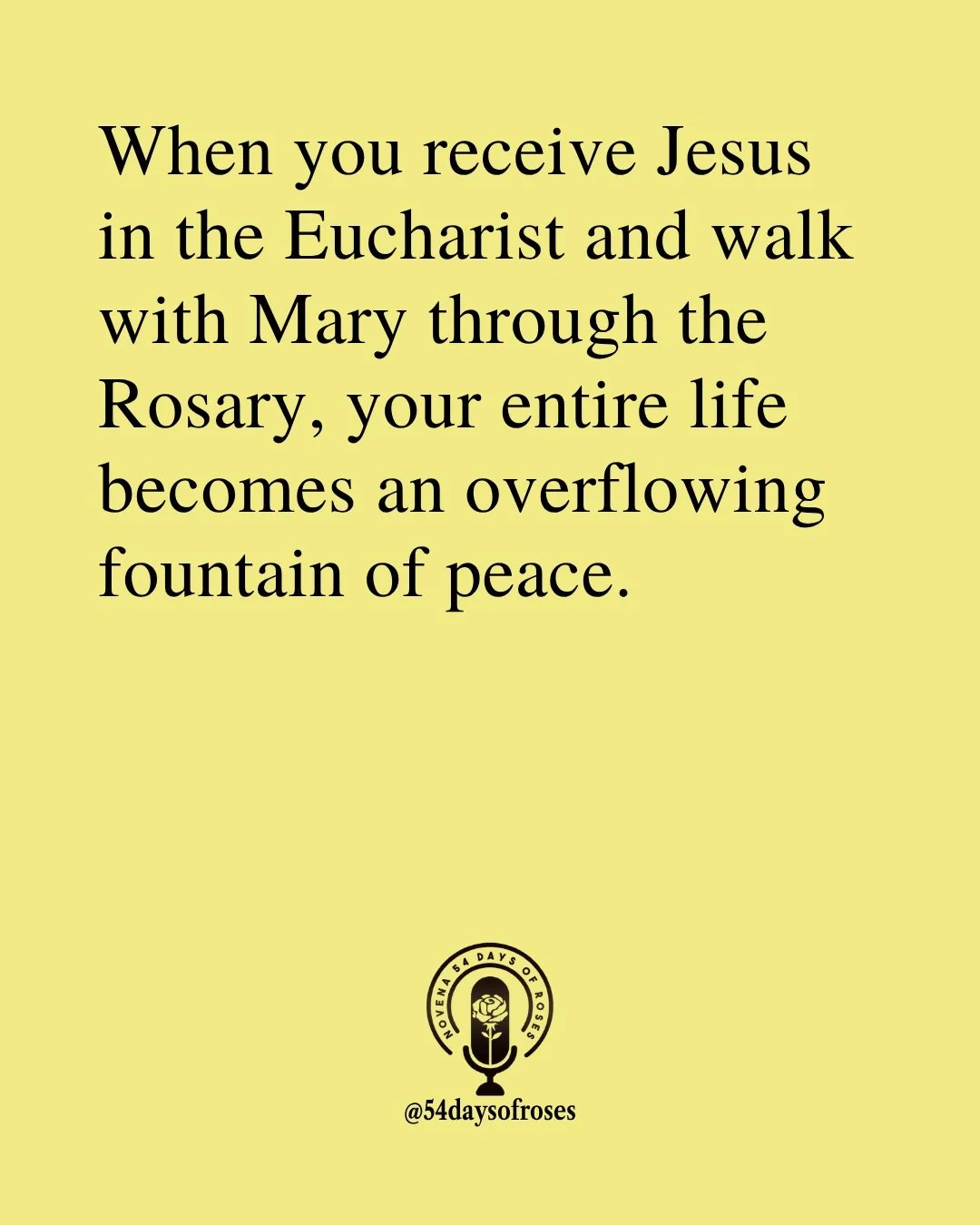📖 "Jesus said to them, 'I am the bread of life; whoever comes to me shall not hunger, and whoever believes in me shall never thirst.'" -John 6:35

#catholic #praytherosary #youngcatholic #catholicpodcasts #54daysofroses