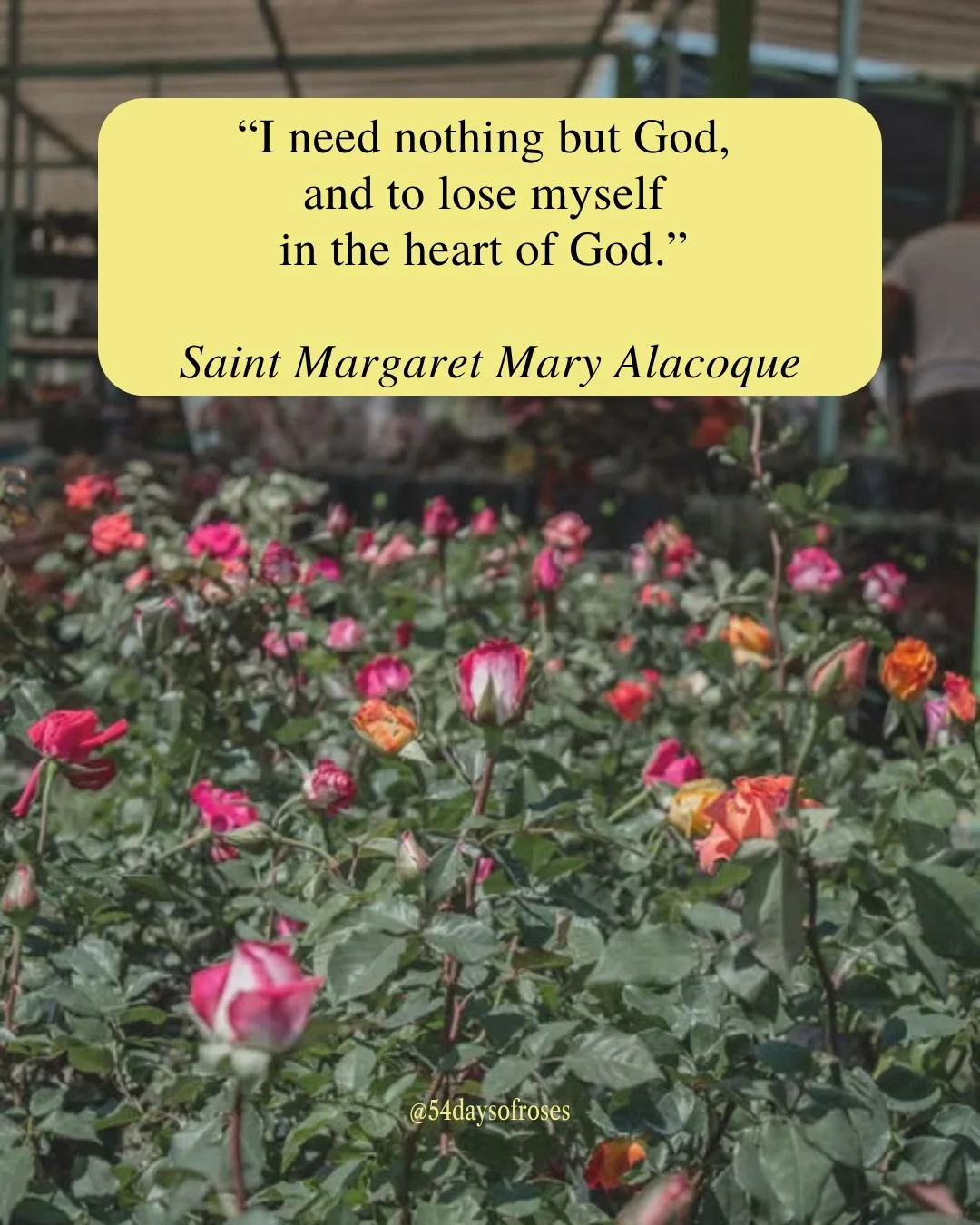 "I need nothing but God, and to lose myself in the heart of God." -Saint Margaret Mary Alacoque

Margaret Mary Alacoque was born in 1647 in Burgundy, France, the only surviving daughter in a family that would face loss after loss. She lost 