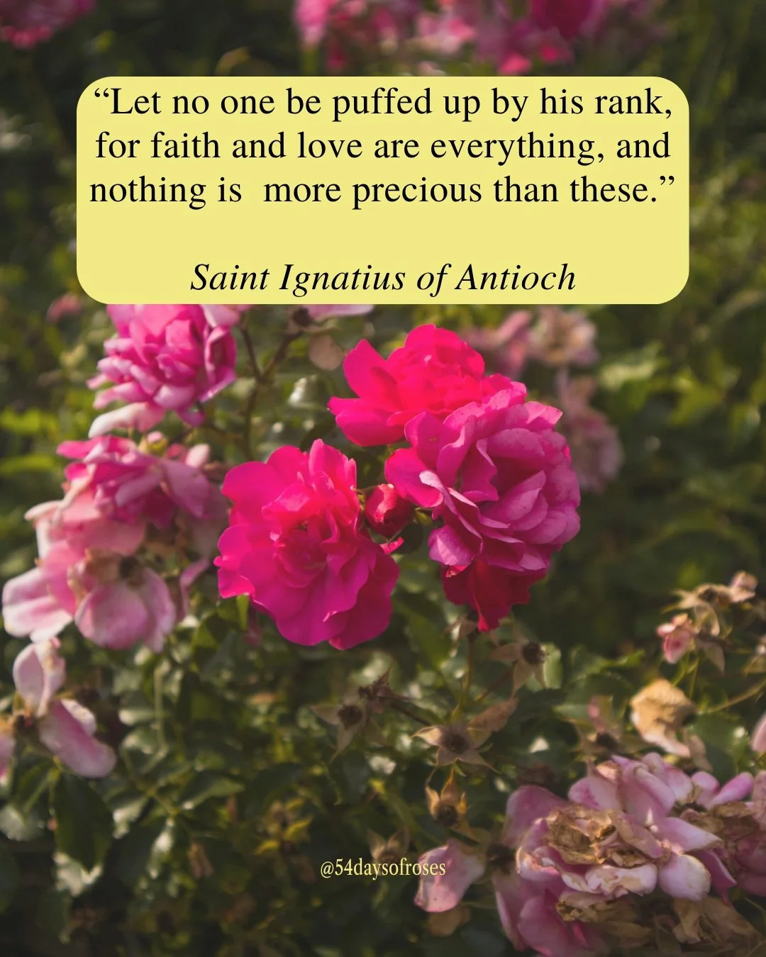 "Let no one be puffed up by his rank, for faith and love are everything, and nothing is more precious than these." -Saint Ignatius of Antioch

Ignatius was born around AD 35 in Syria and became the third Bishop of Antioch, one of the most p