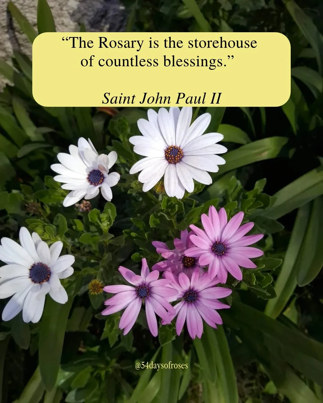 "The Rosary is the storehouse of countless blessings." -Saint John Paul II

Born Karol J&oacute;zef Wojtyła in Wadowice, Poland in 1920, he knew grief early. He lost his mother, his brother, and eventually his father, all before he was twen