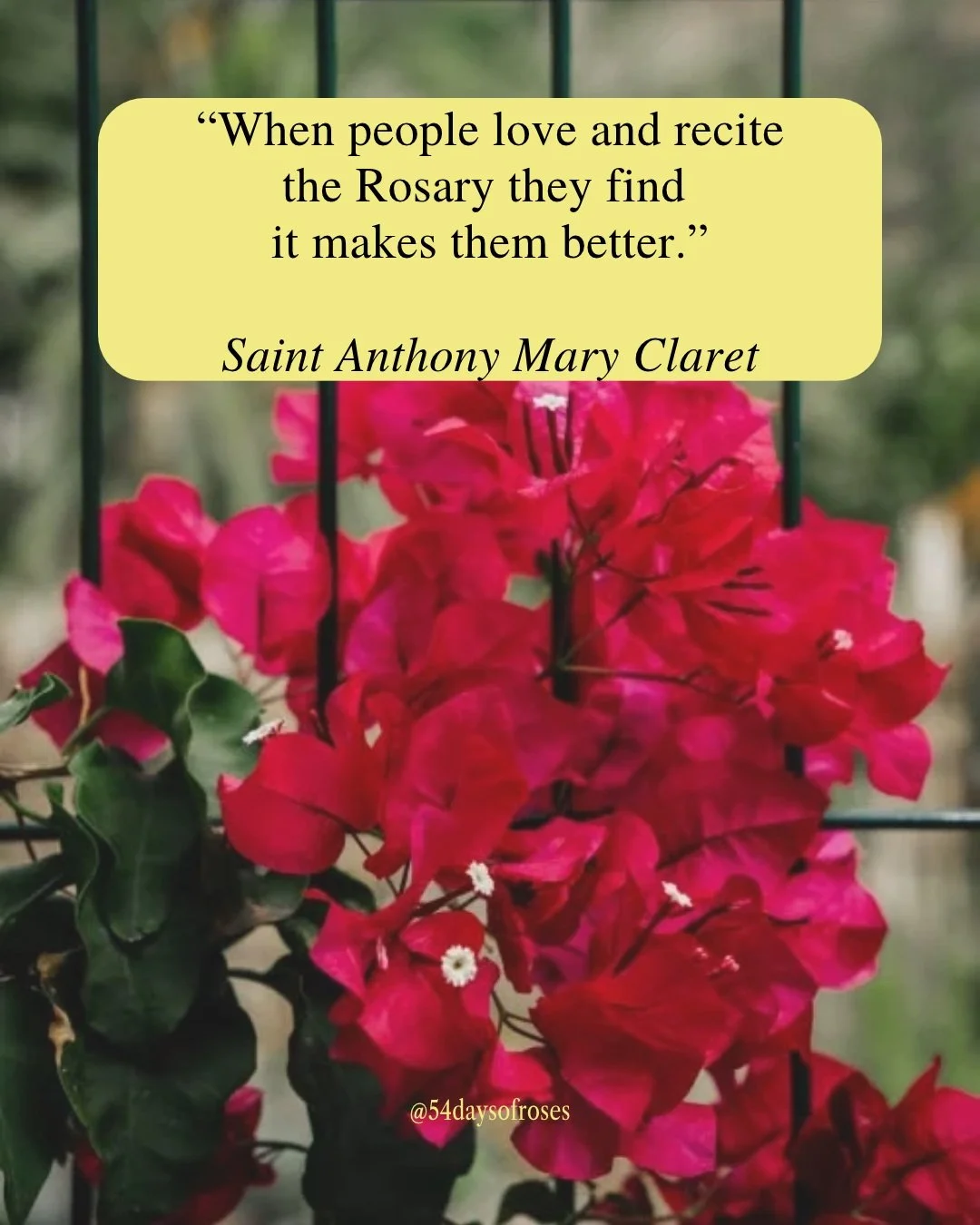 "When people love and recite the Rosary they find it makes them better." -Saint Anthony Mary Claret

Anthony Mary Claret was born on December 23, 1807, in Sallent, Catalonia, Spain, the son of a weaver. He grew up in a home where the Rosary