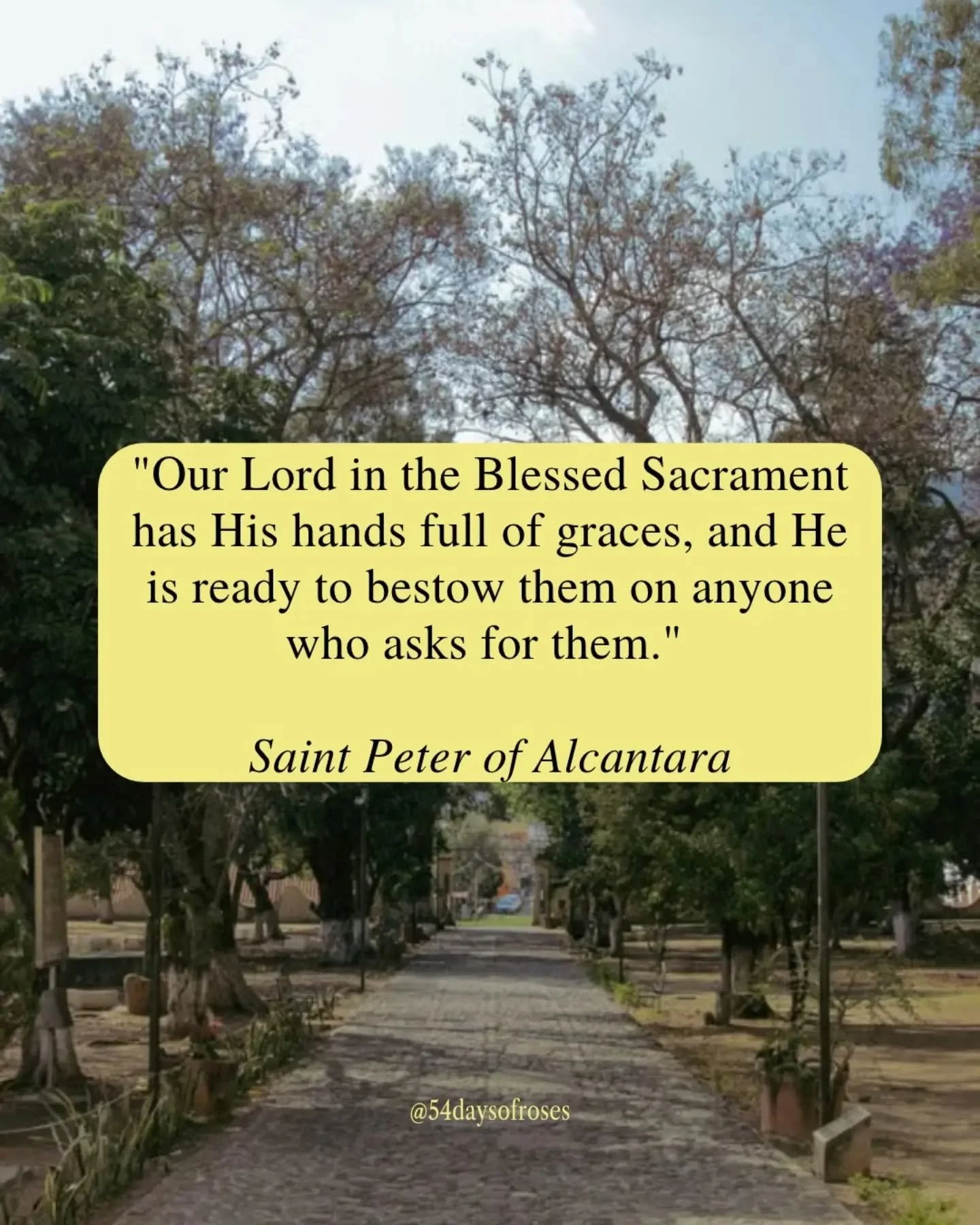 "Our Lord in the Blessed Sacrament has His hands full of graces, and He is ready to bestow them on anyone who asks for them." &mdash;St. Peter of Alc&aacute;ntara

Peter of Alc&aacute;ntara was born Peter Garavito in 1499 in Alc&aacute;ntar