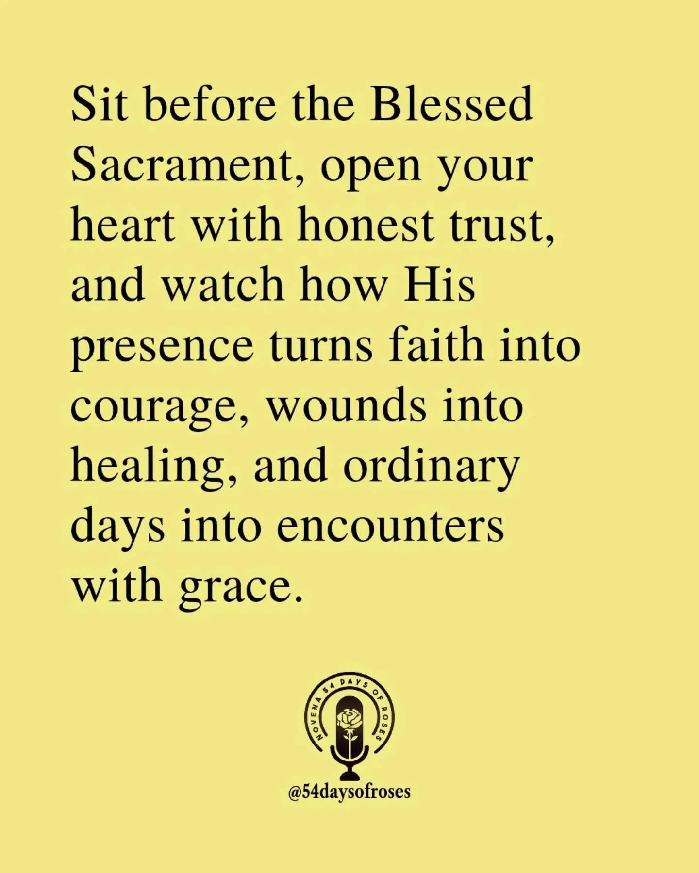📖 "So let us confidently approach the throne of grace to receive mercy and to find grace for timely help." -Hebrews 4:16

#catholic #praytherosary #youngcatholic #catholicpodcasts #54daysofroses