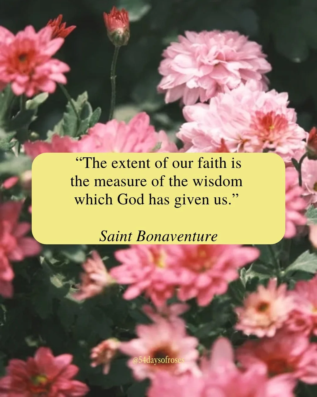 "The extent of our faith is the measure of the wisdom which God has given us." -St. Bonaventure

He received the Dominican habit from St. Dominic himself. He stood before kings and bishops. And he chose, every single time, to defend the fai