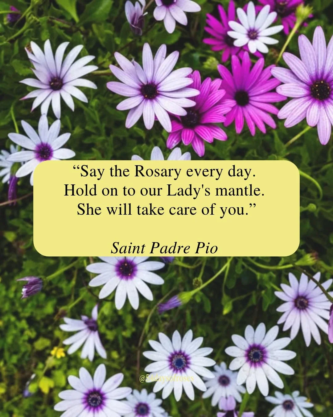 "Say the Rosary every day. Hold on to our Lady's mantle. She will take care of you." -St. Padre Pio

Saint Narcissus of Jerusalem was born around 99 AD, a Greek by origin, a man of deep prayer and fierce faith. He was chosen as the 30th Bis