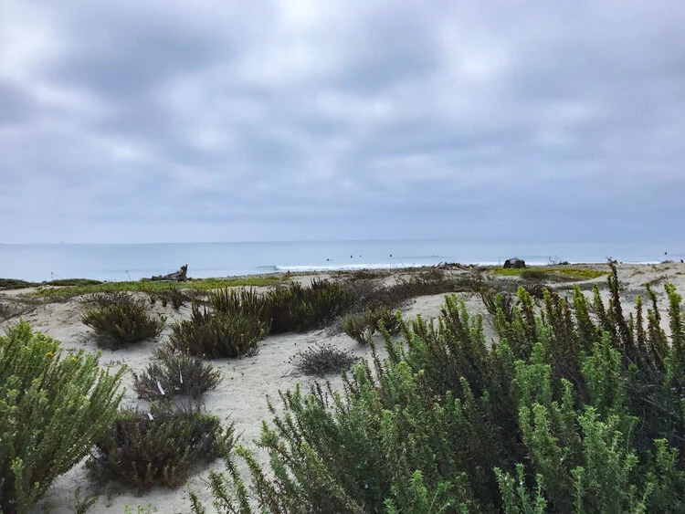 Begin Where You Are and Such as You Are