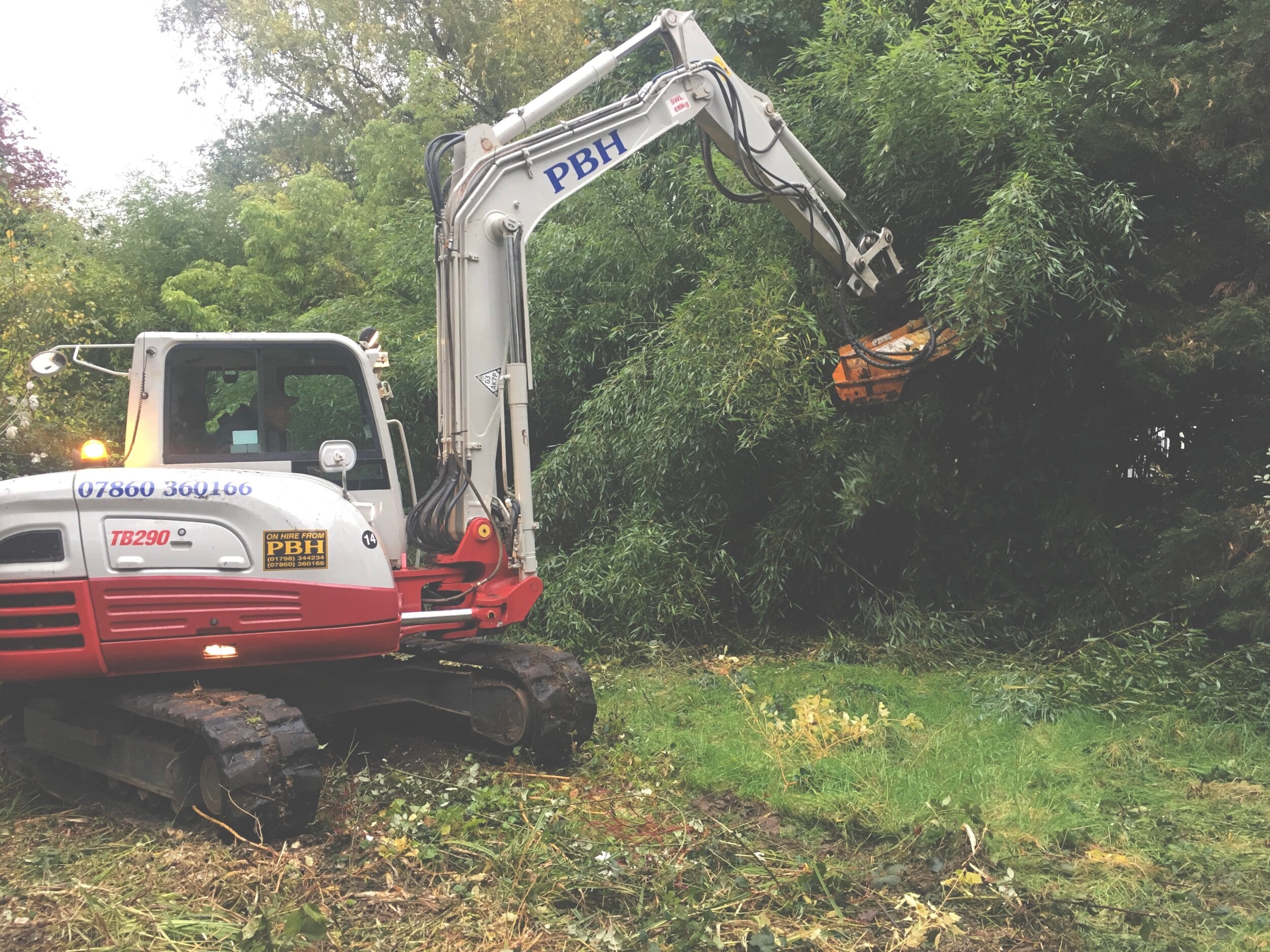 Yapton | Land Clearance, Tree Felling, Stump Removal & Site Levelling.