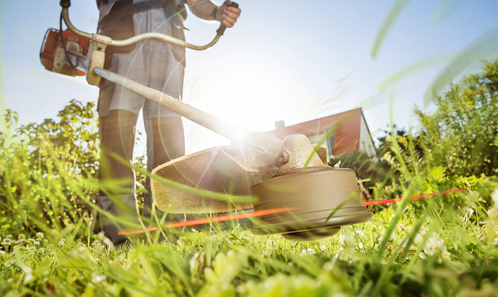 gardening-lawn.jpg
