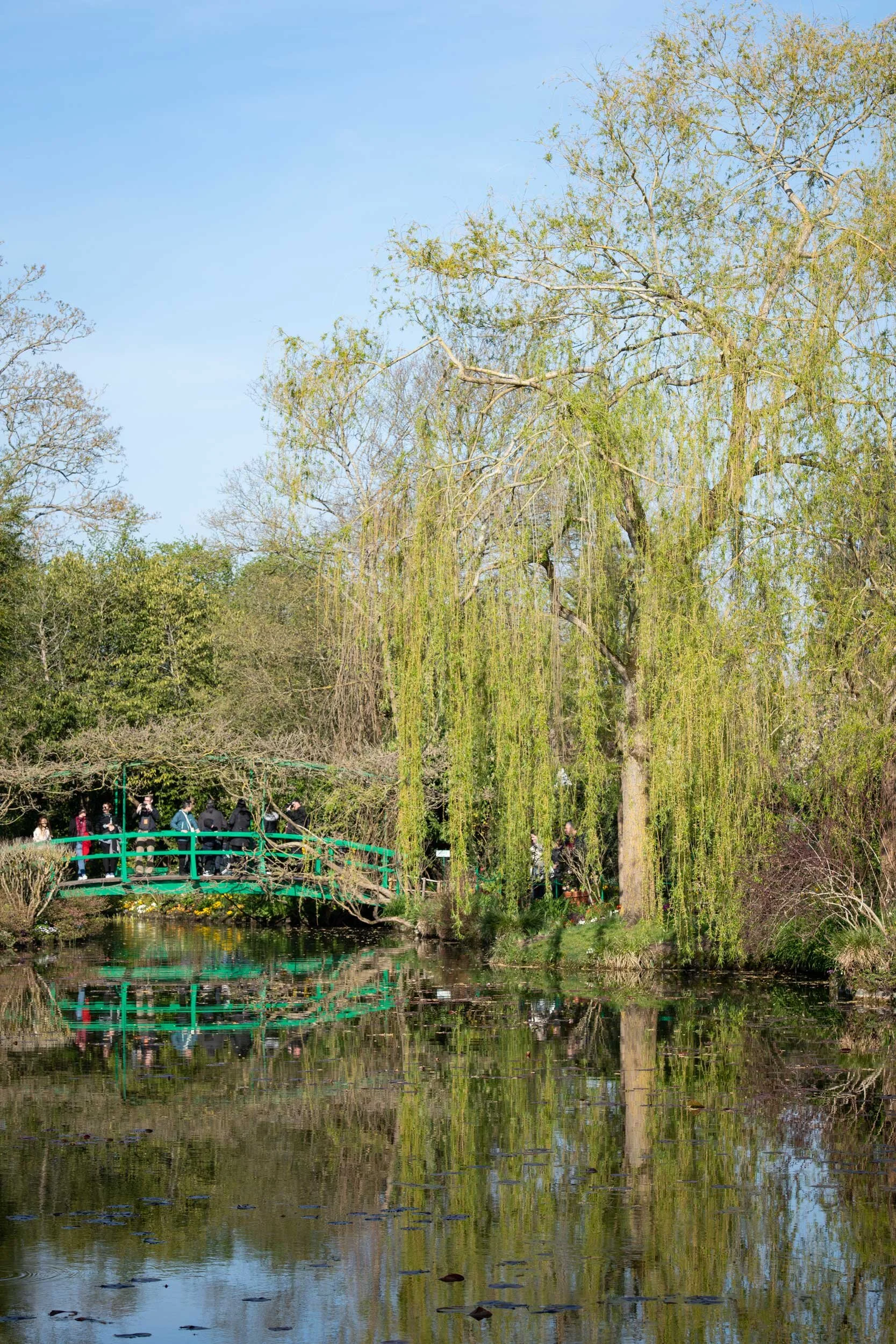 Monet’s Garden in Springtime