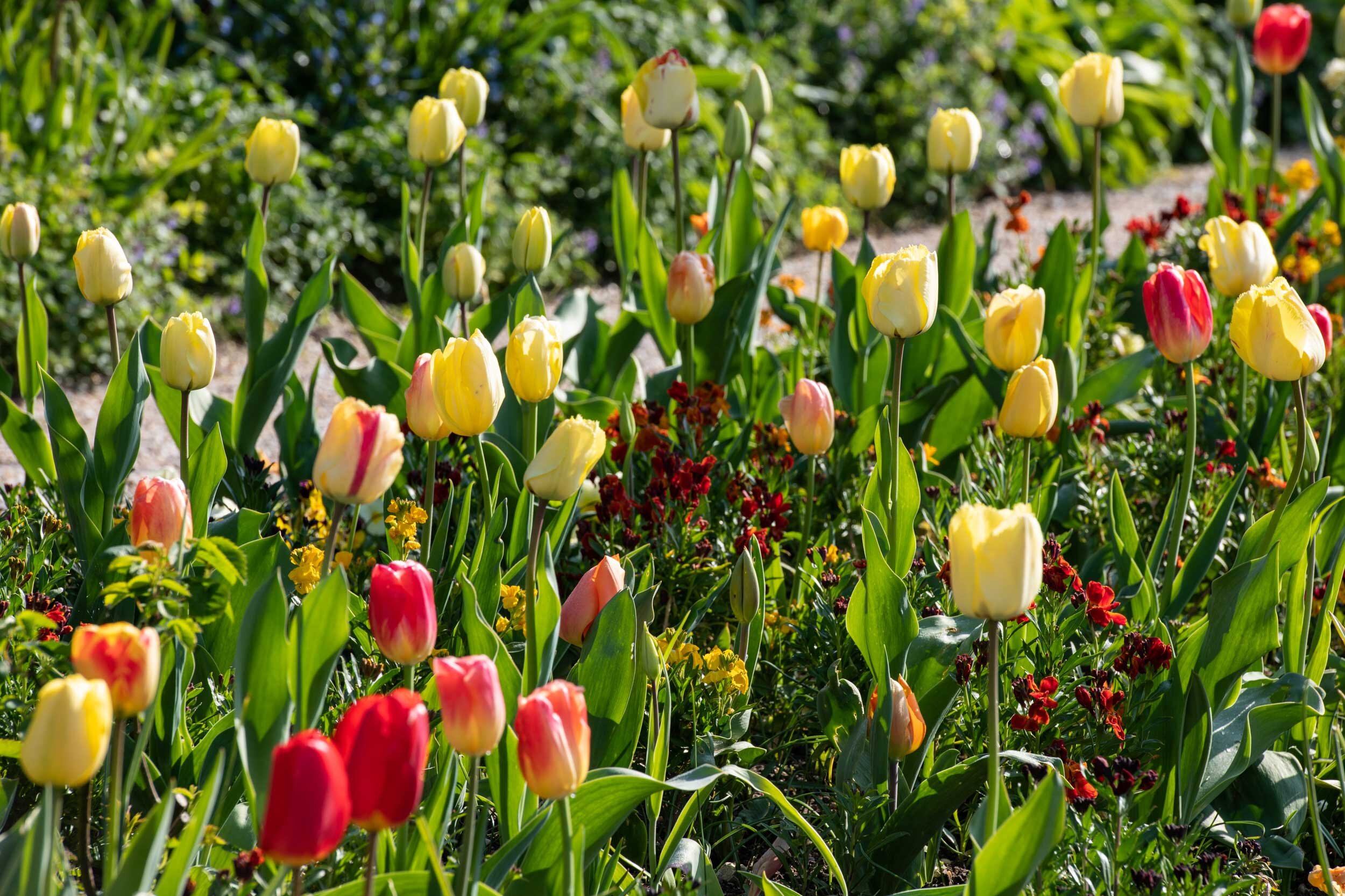 Monet-Giverny-French-Views-Chris-Handel-Photography-1076.jpg