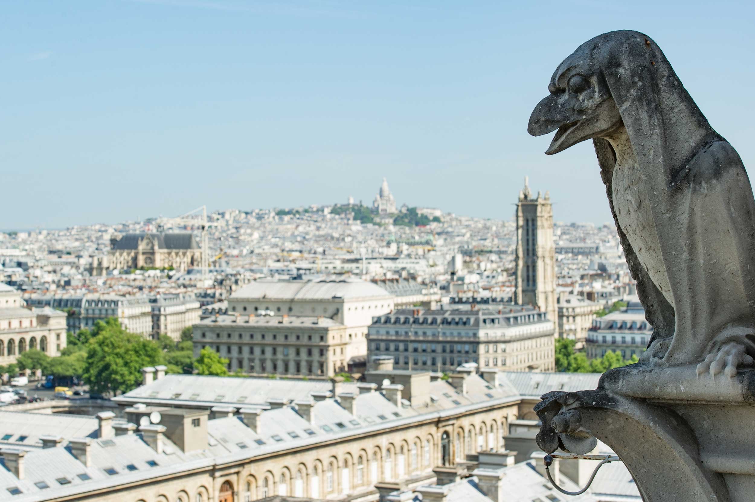 Notre-Dame-French-Views-Chris-Handel-Photography-4553.jpg