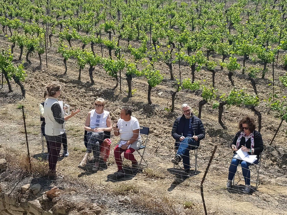 Annette-Morris-Art-French-Views-vineyard-teaching.jpg