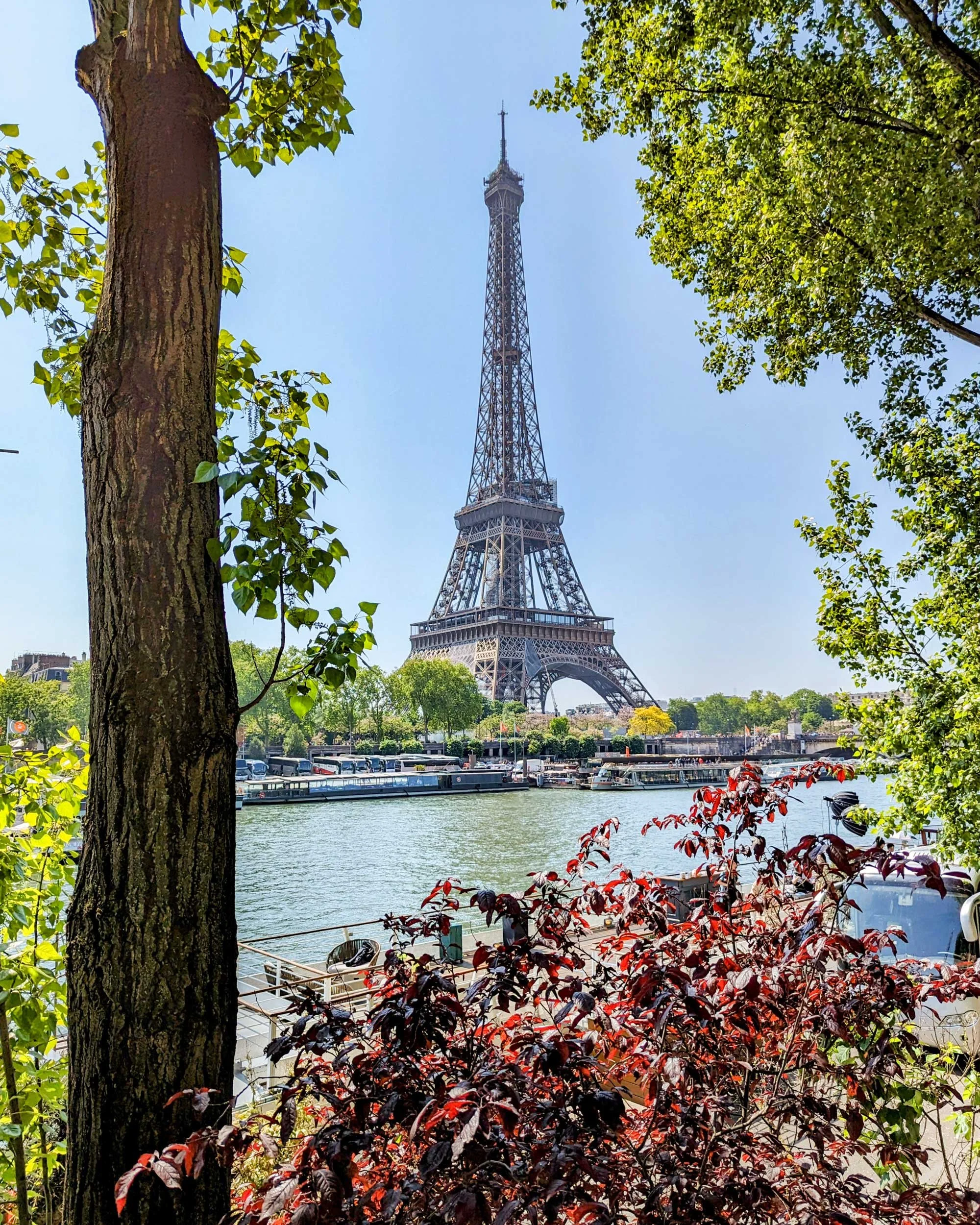 French-Views-Eric-Kirchmann-from-16eme.jpg