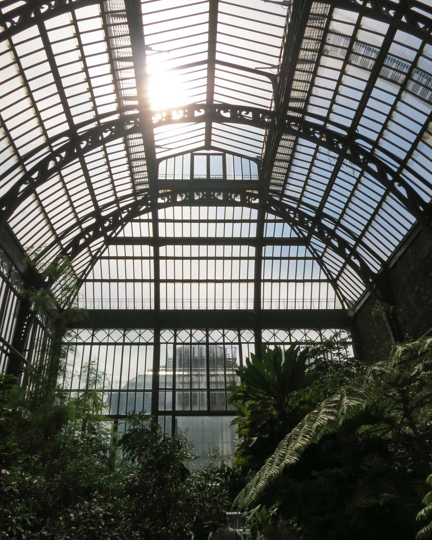 5th arrondissement is called the Latin Quartier and is located on the left bank of the Seine.
My favourite photographer @chrishandel_photographer and I suggest a walk through the Jardin des Plantes. Originally it was a medicinal herb garden for King 