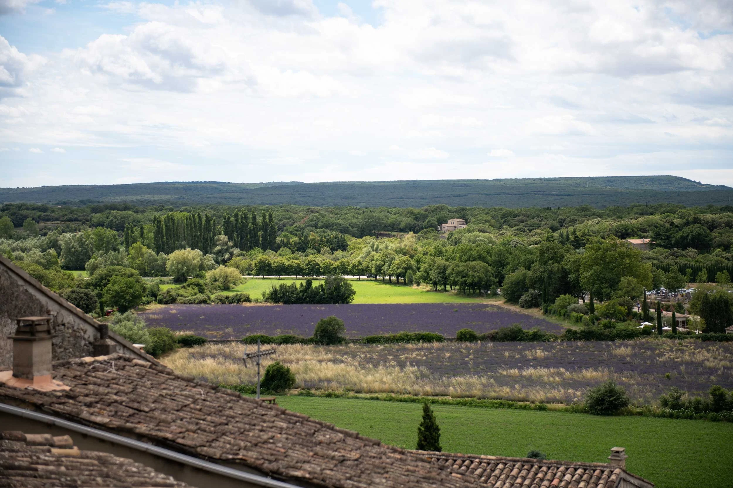 Grignan-Drome-22.06.24-French-Views-Chris-Handel-Photographer-23-1669.jpg
