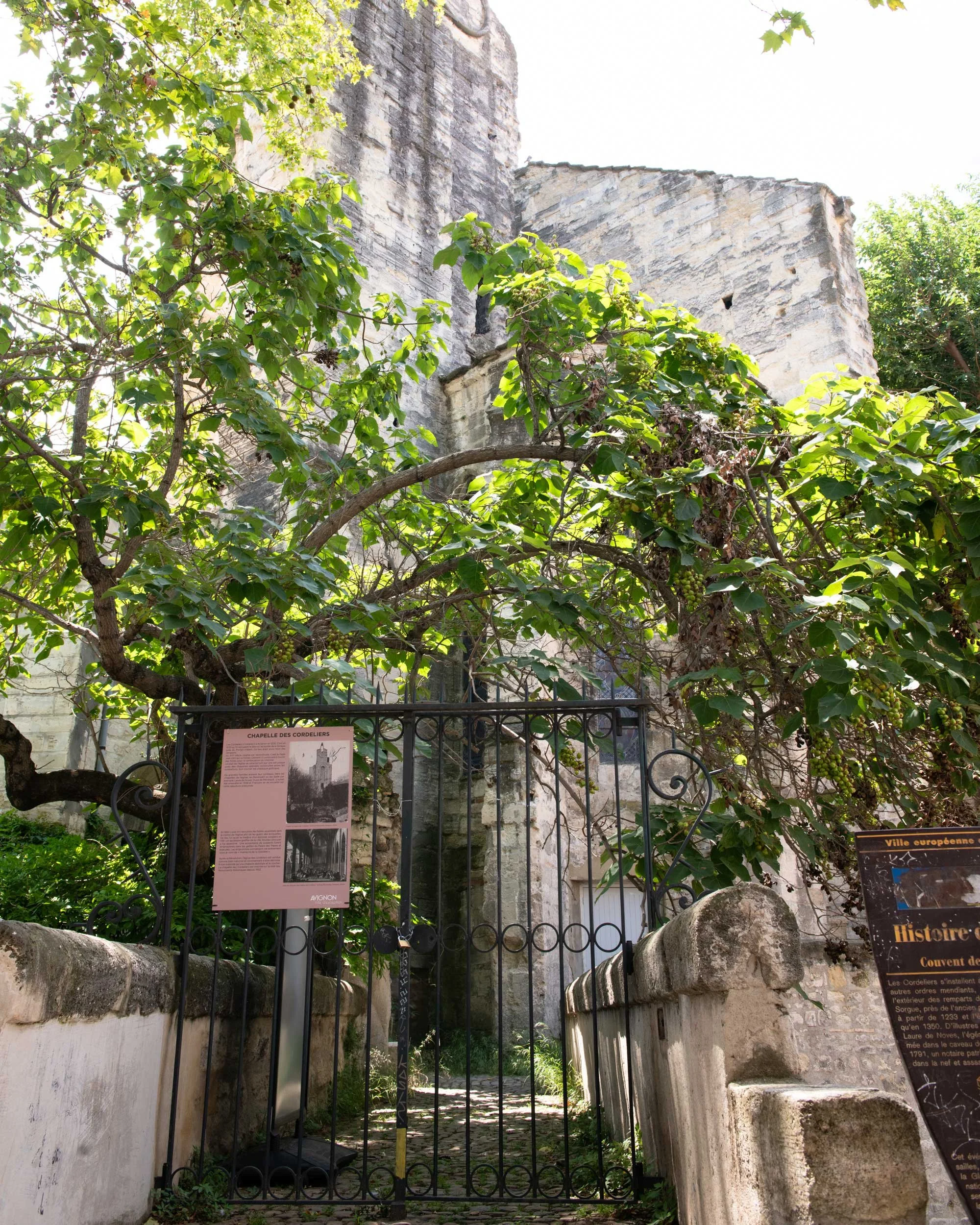 Avignon-25.06.24-French-Views-Chris-Handel-Photographer-66-1789.jpg