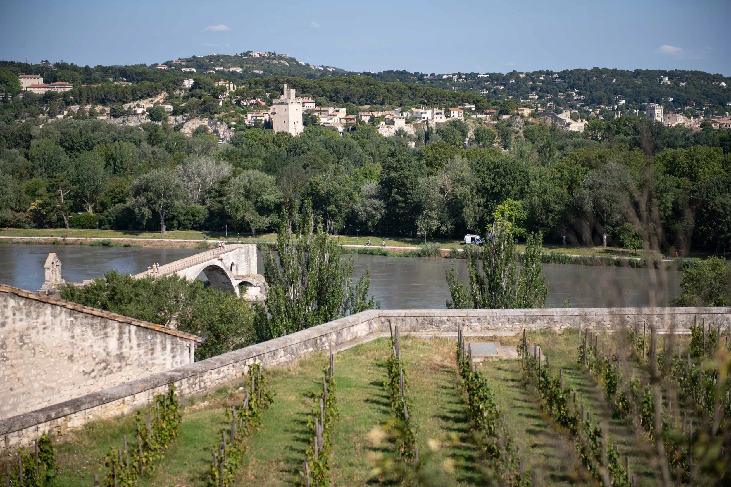 Avignon-25.06.24-French-Views-Chris-Handel-Photographer-35-1740.jpg