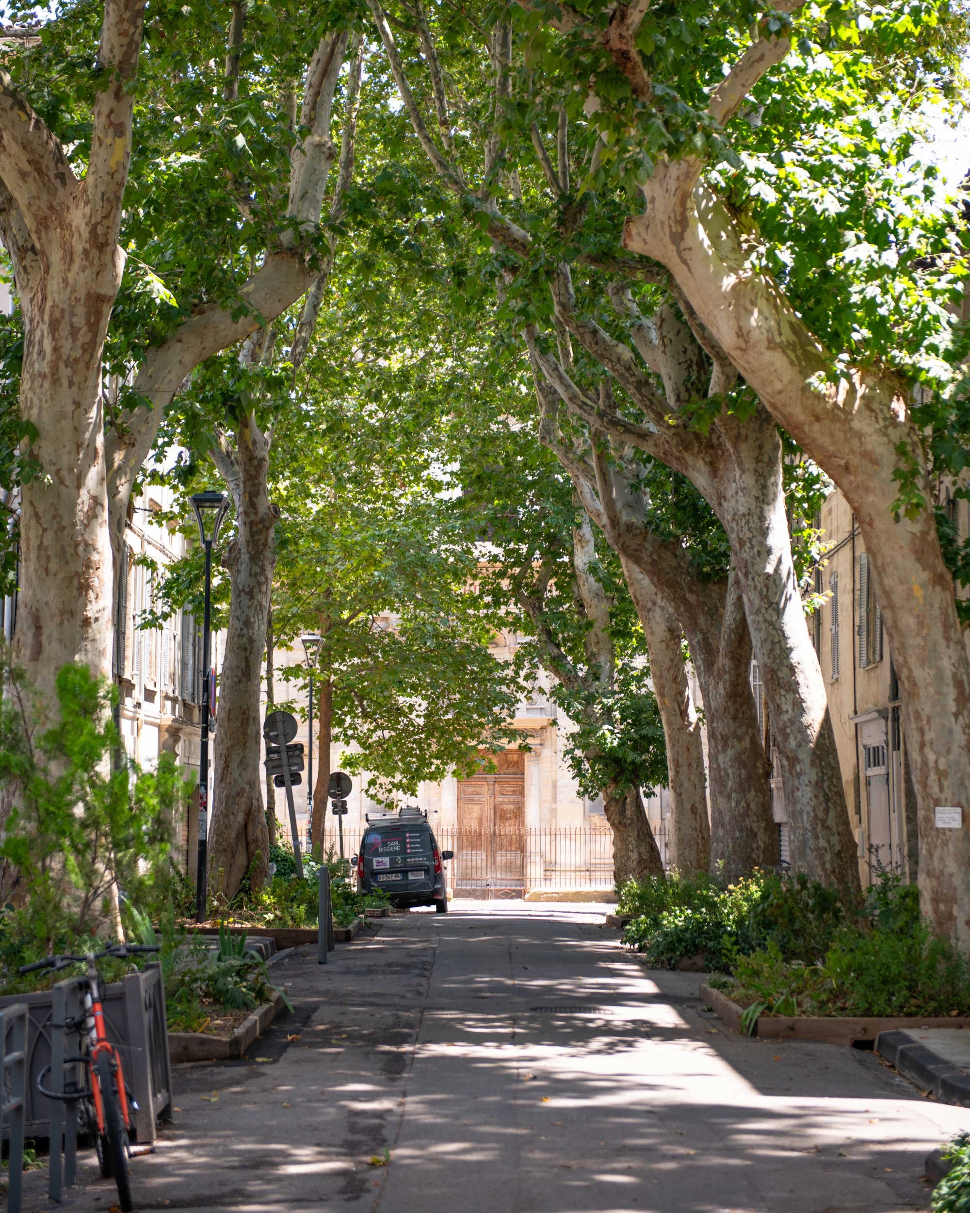 Avignon-25.06.24-French-Views-Chris-Handel-Photographer-74-1798.jpg