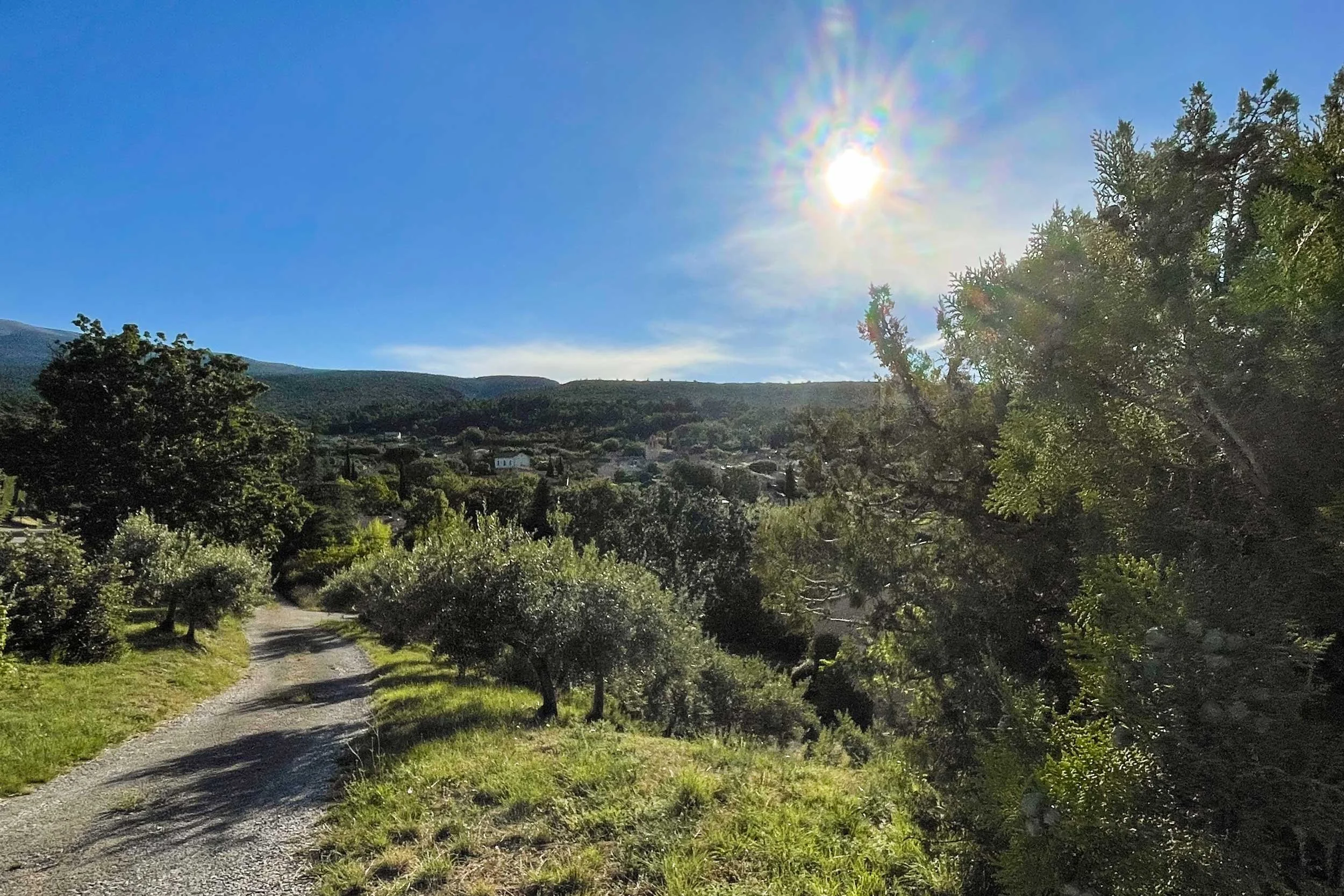 Ville-sur-Auzon-Ride-Provence-24.06.24-French-Views-Chris-Handel-Photographer-06-2925.jpg