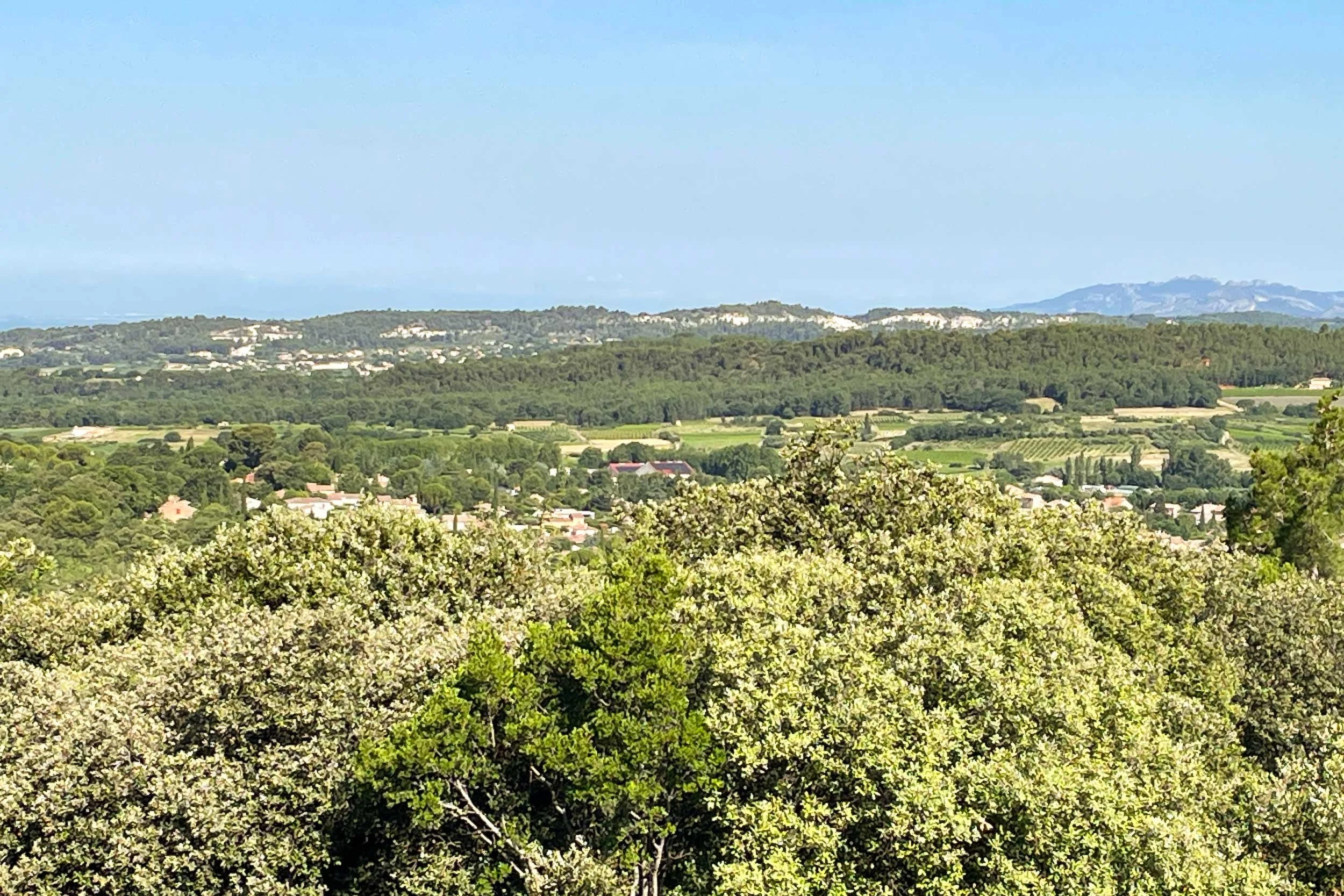 Gorges-de-la-Nesque-27.06.24-French-Views-Chris-Handel-Photographer-11-7057.jpg