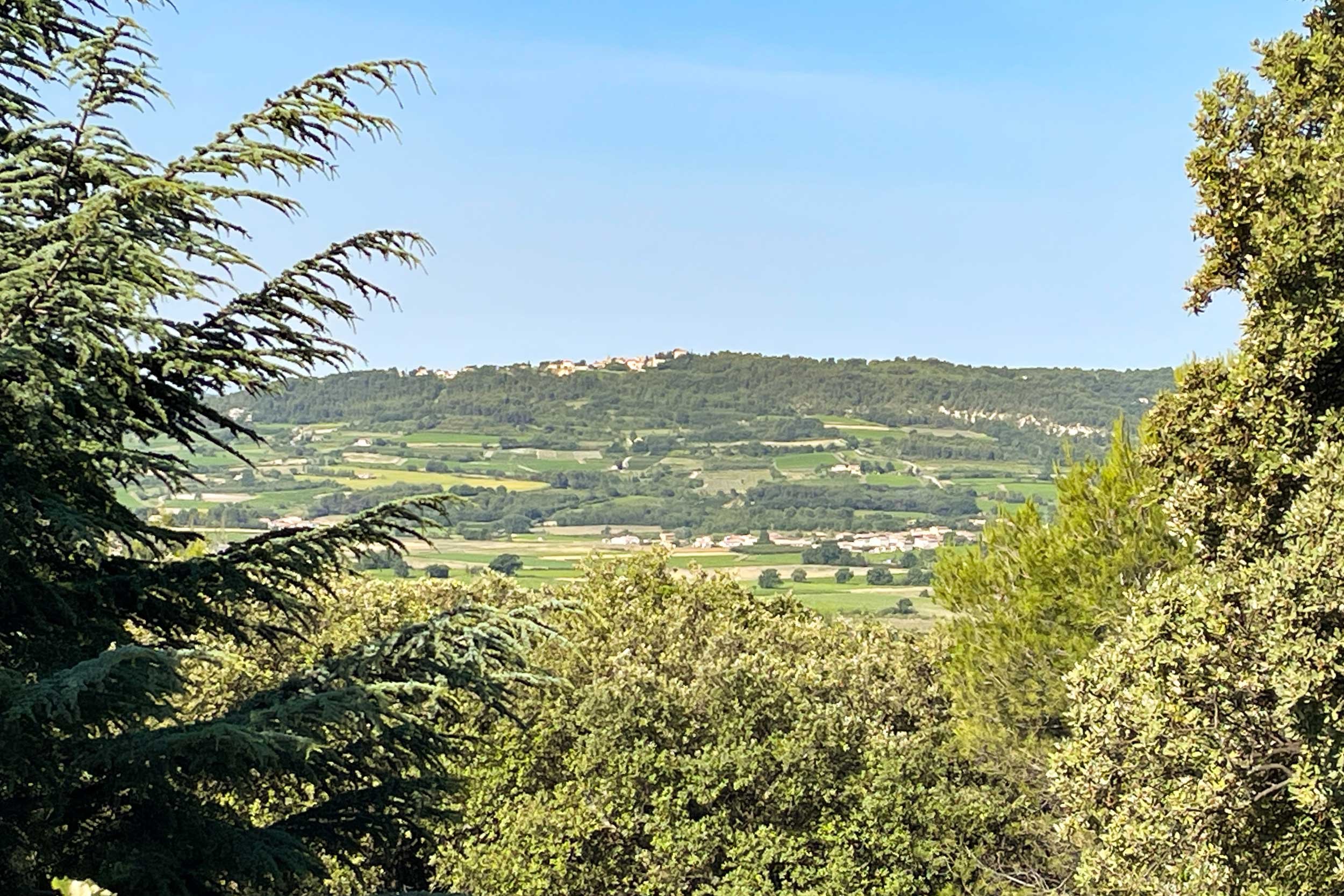 Gorges-de-la-Nesque-27.06.24-French-Views-Chris-Handel-Photographer-12-7058.jpg