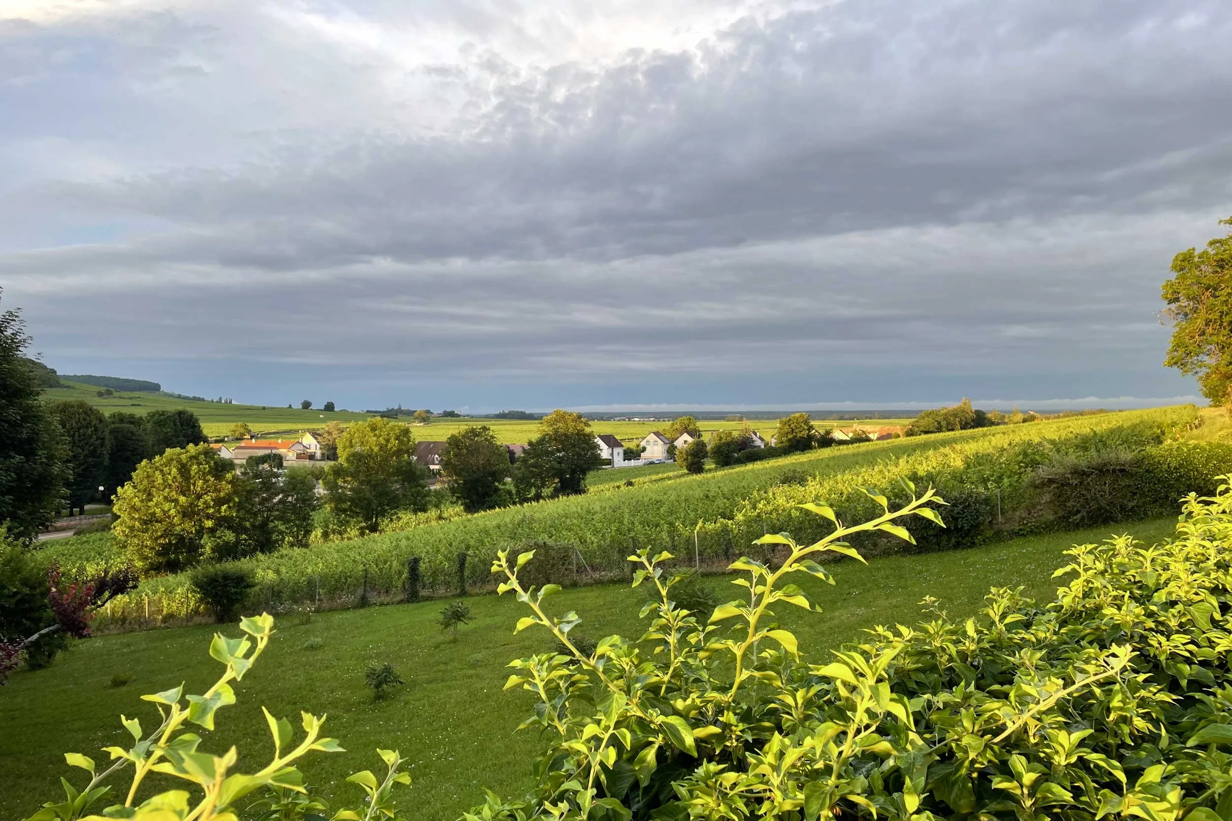 Bourgogne-French-Views-Chris-Handel-Photographer-35-3214.jpg