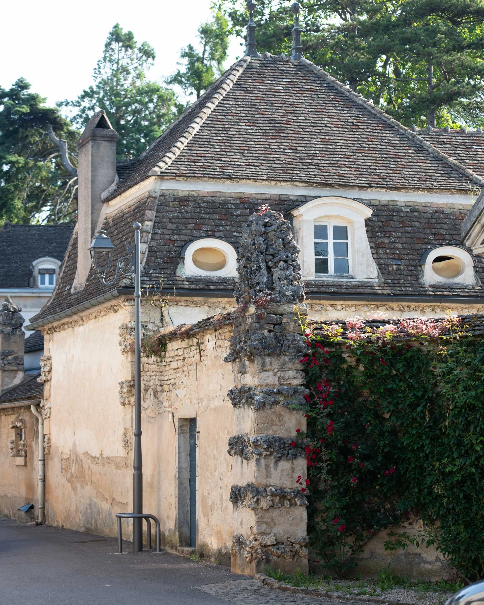 Bourgogne-French-Views-Chris-Handel-Photographer-07-2024.jpg